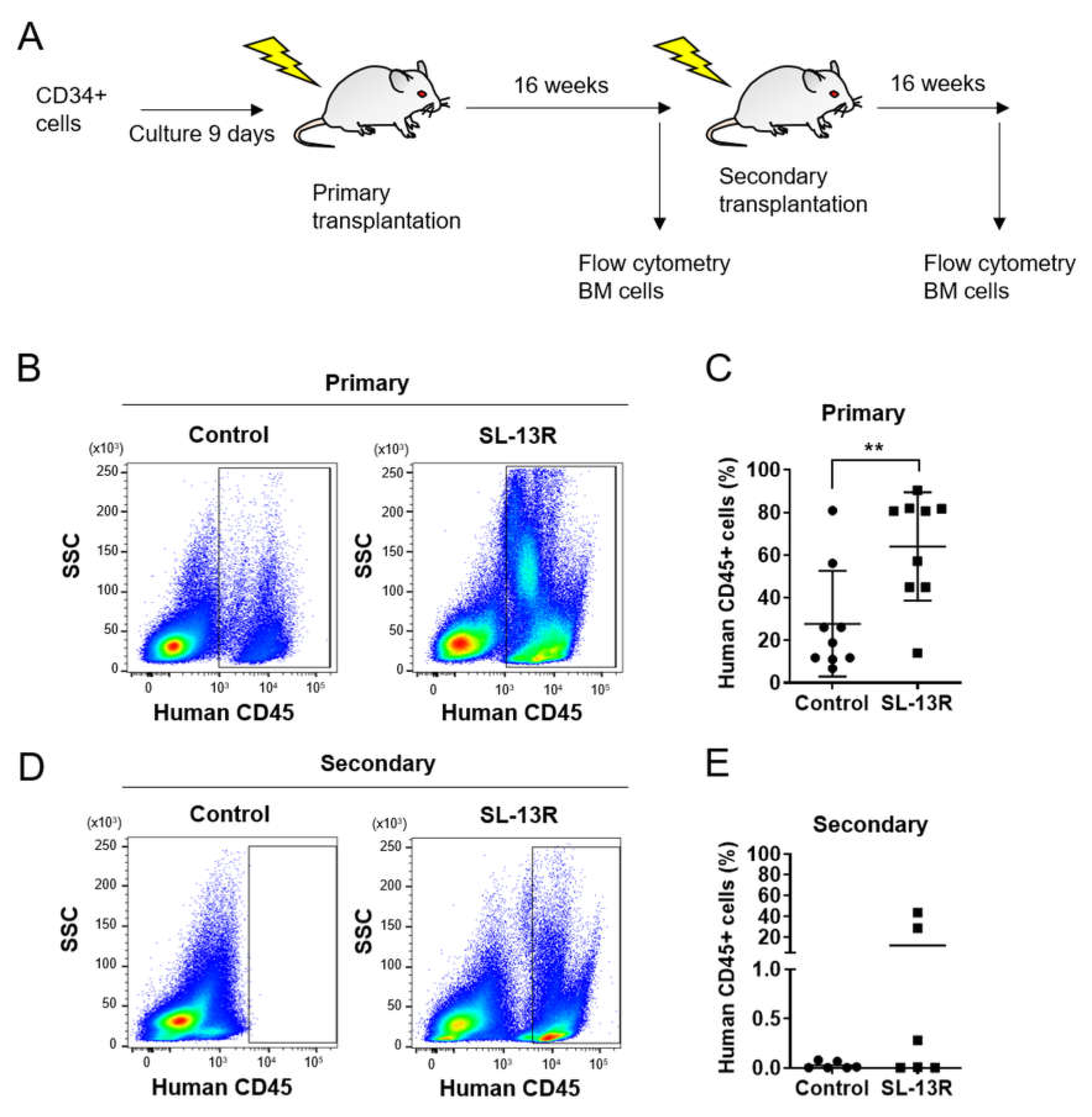 Molecules 26 01995 g002 Molecules 26 01995 g002
