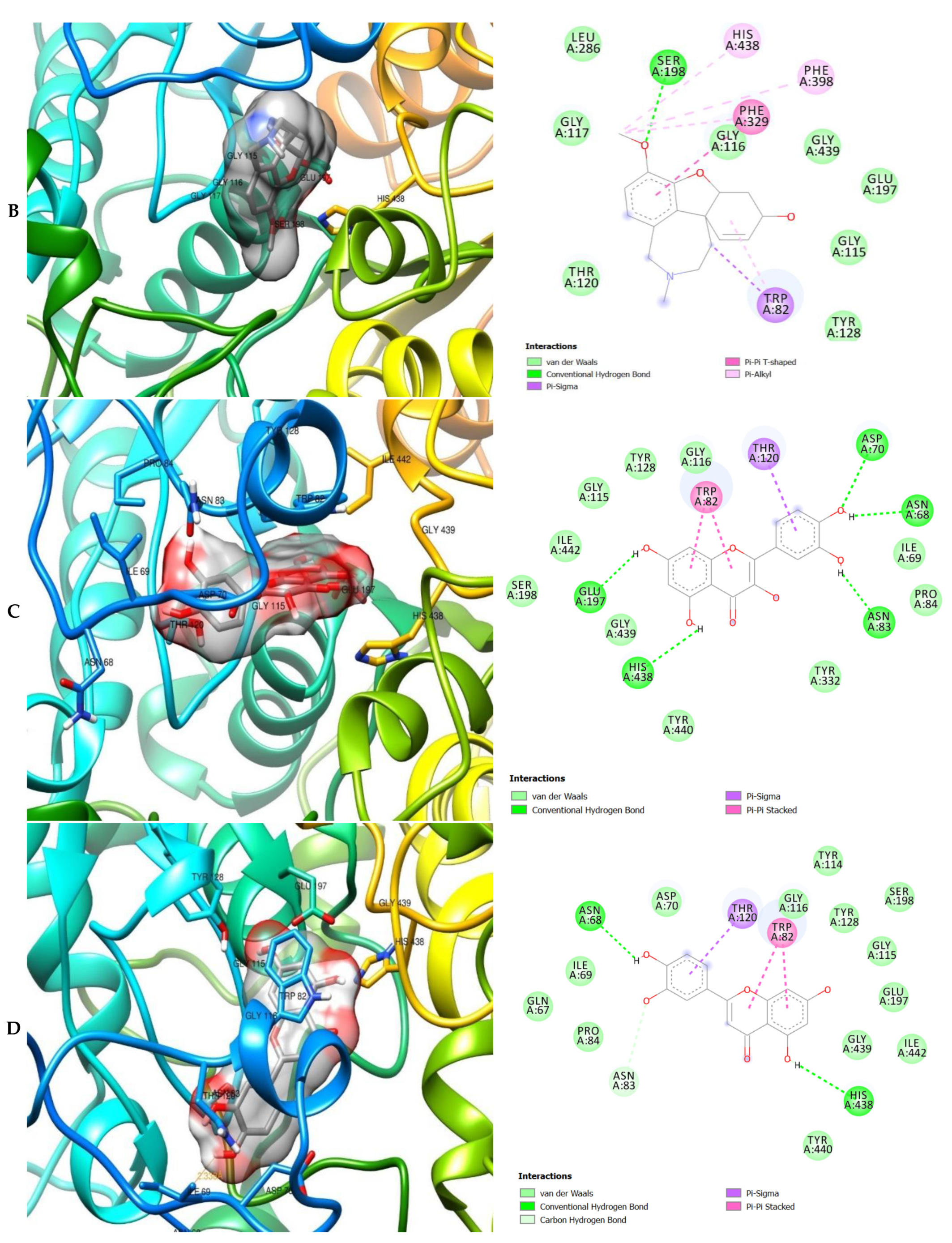 Molecules 26 01996 g006b Molecules 26 01996 g006b