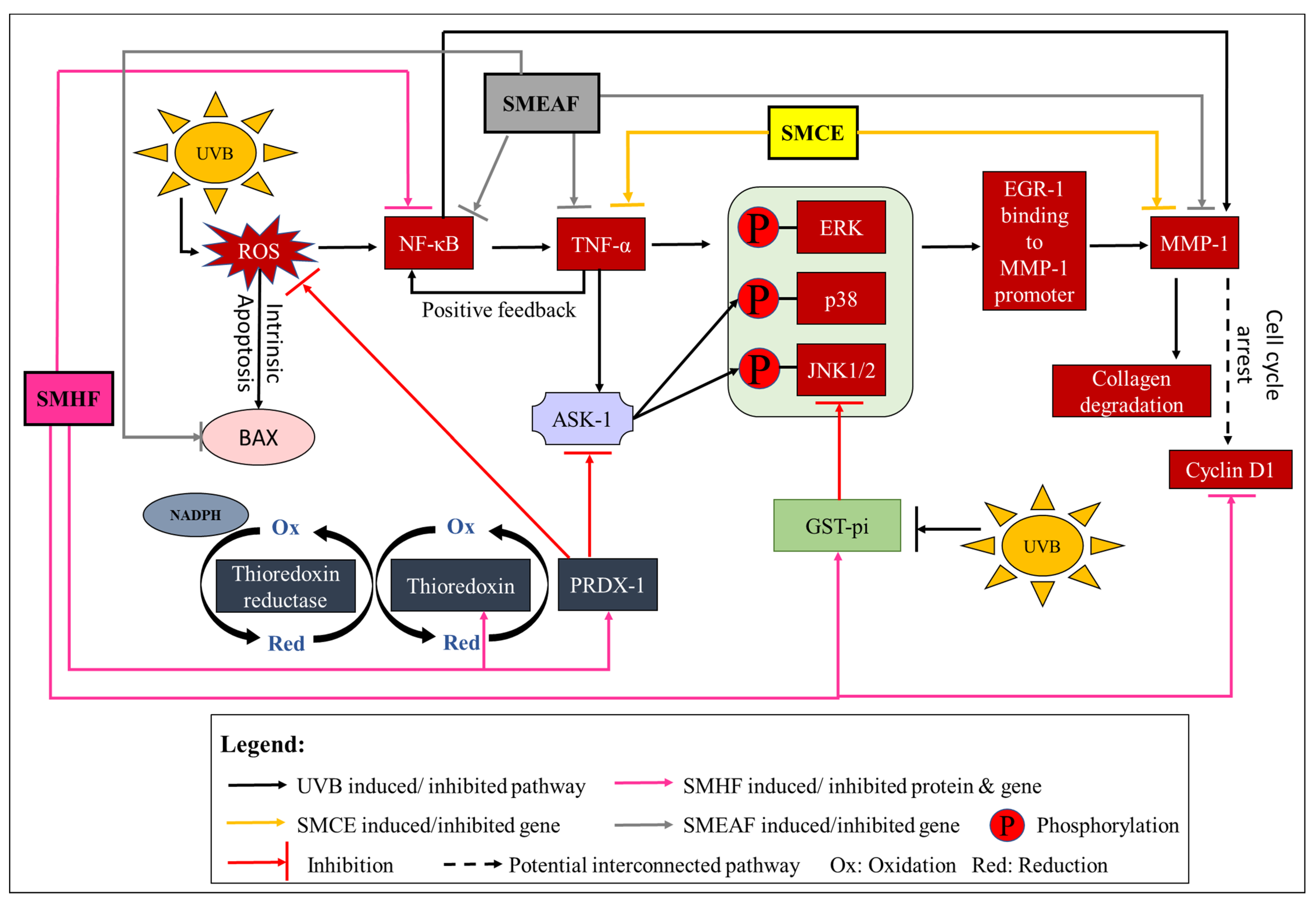 Molecules 26 02000 g005