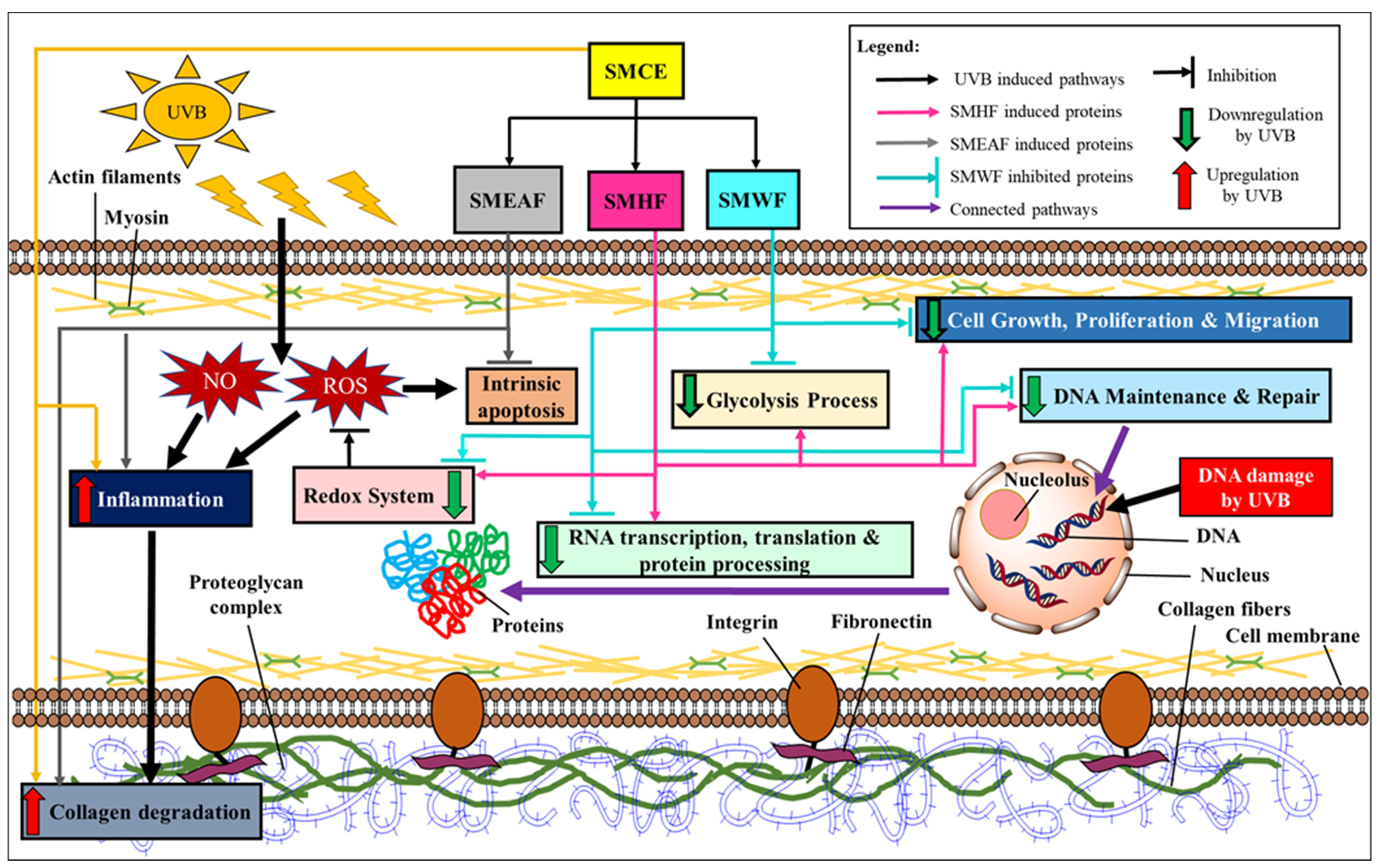 Molecules 26 02000 g006