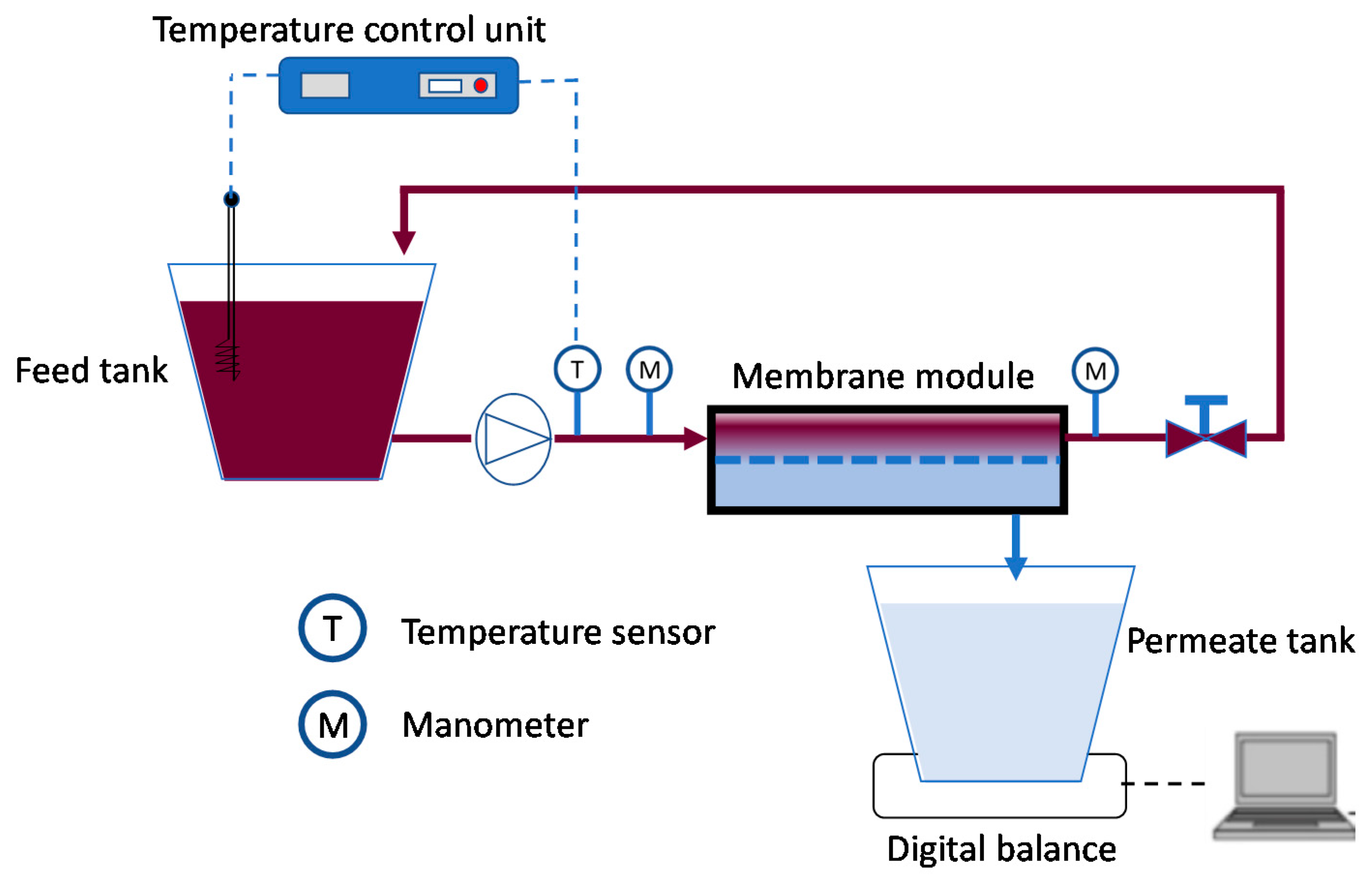 Molecules 26 02003 g003 Molecules 26 02003 g003