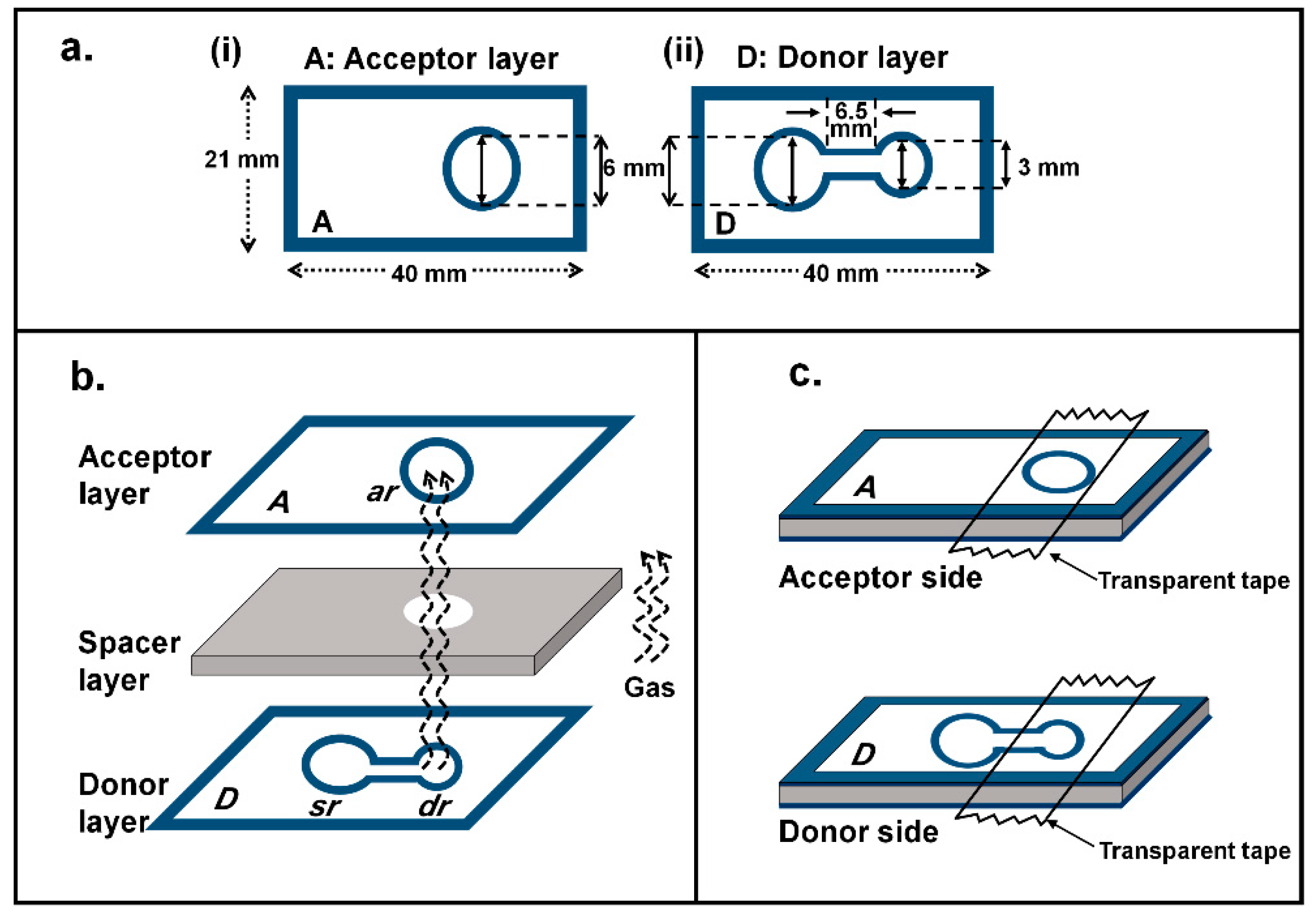 Molecules 26 02004 g001