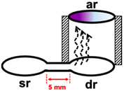 Molecules 26 02004 i001
