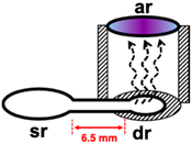 Molecules 26 02004 i003