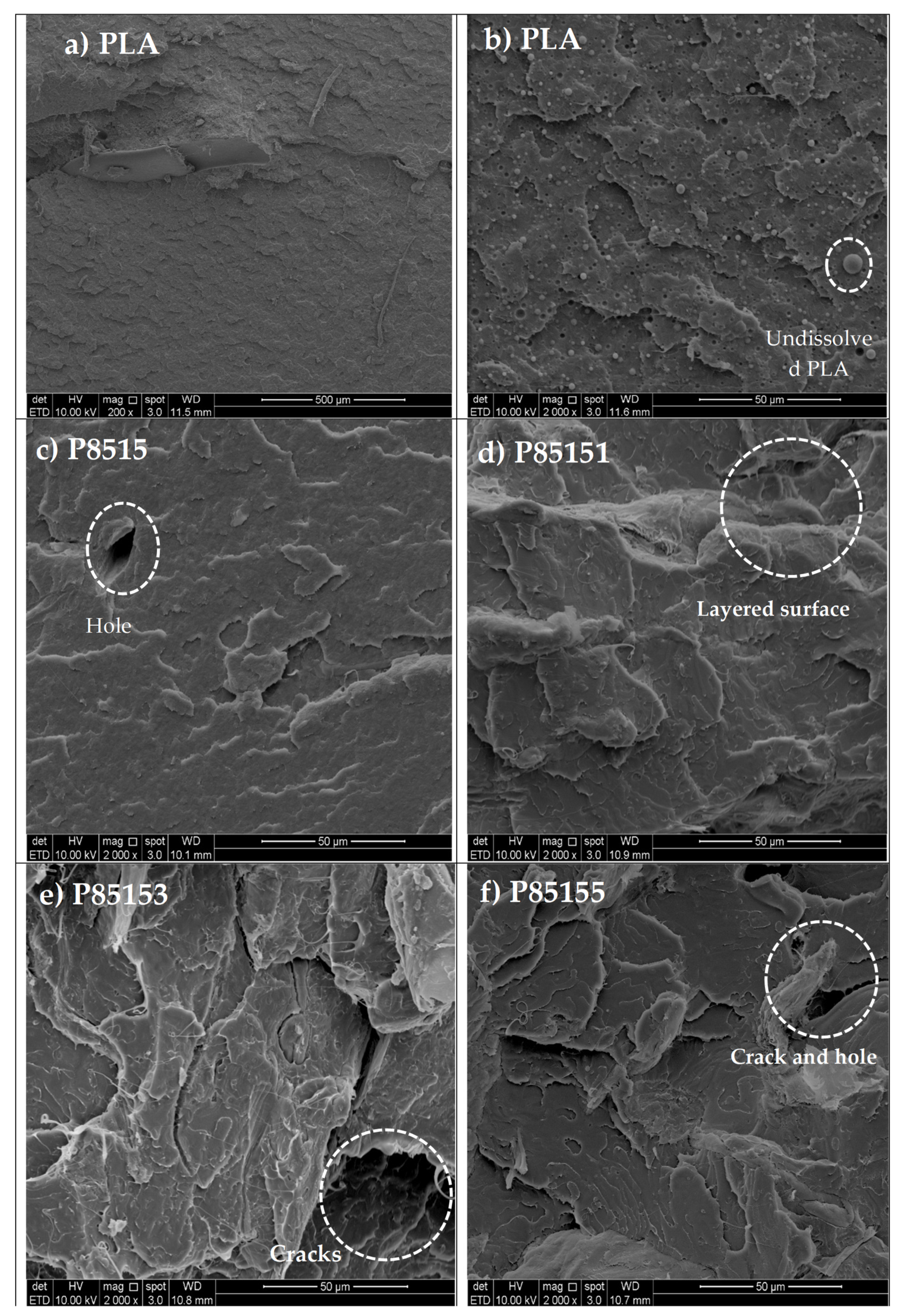 Molecules 26 02008 g007