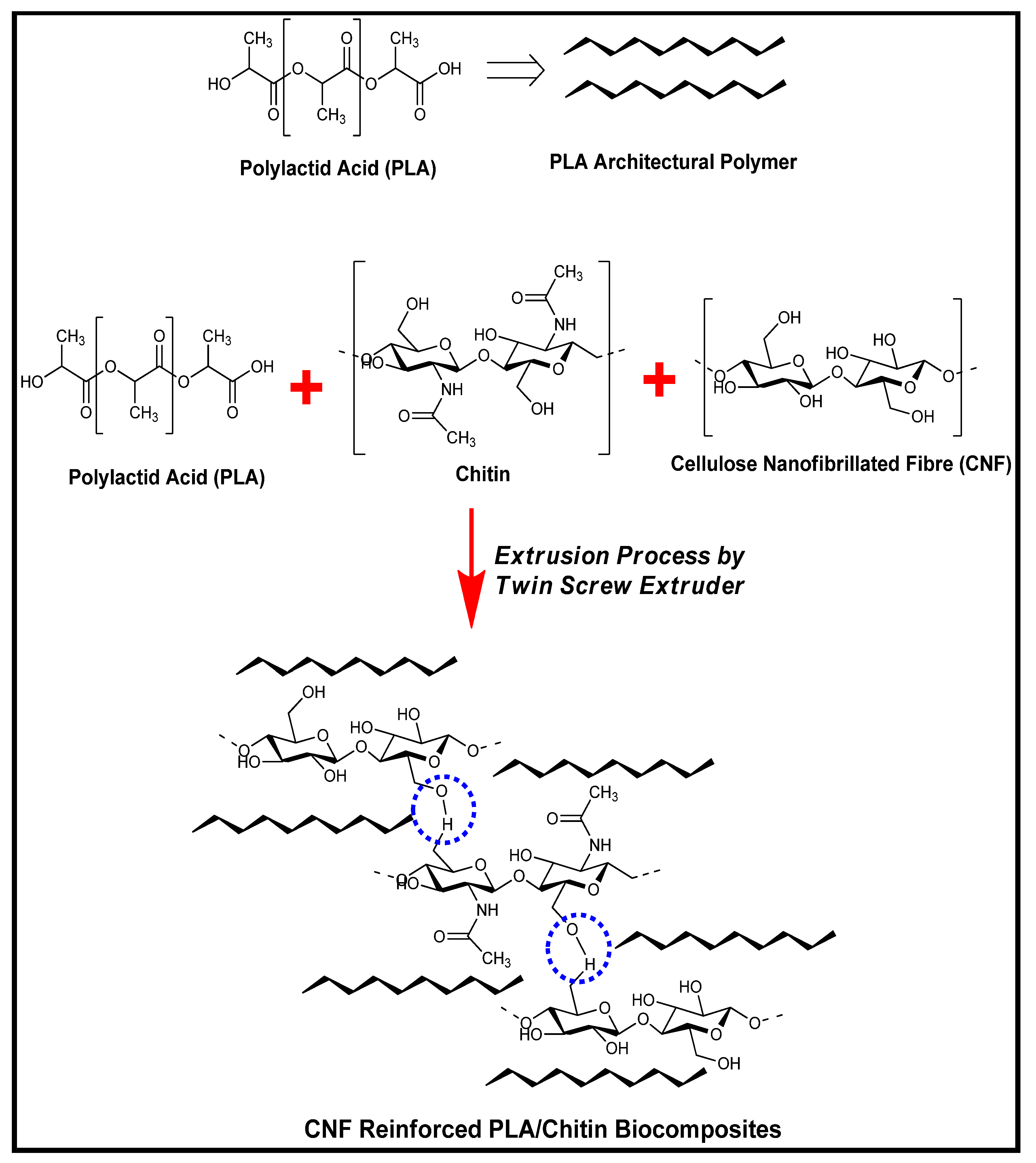 Molecules 26 02008 g008