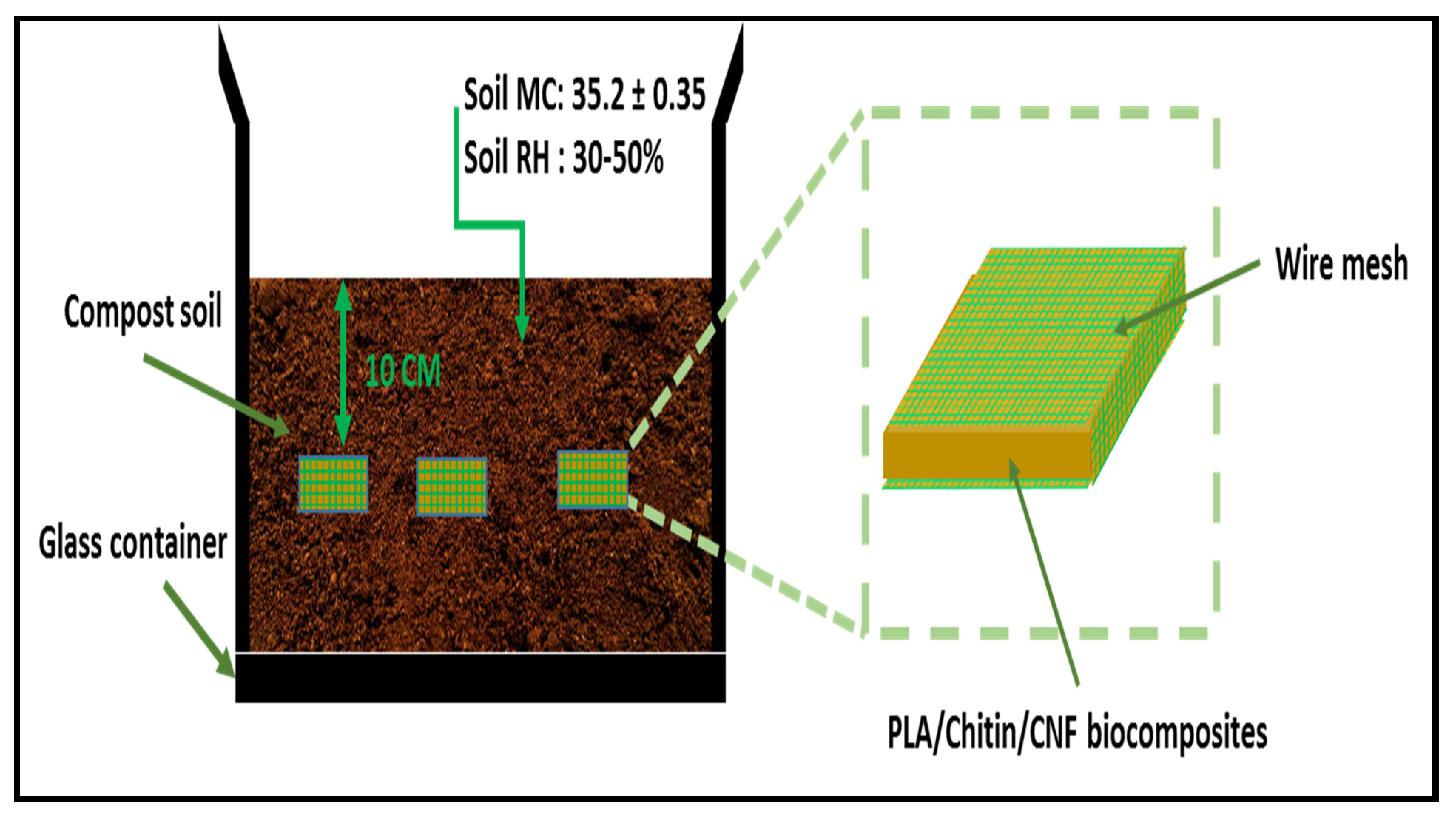 Molecules 26 02008 g010