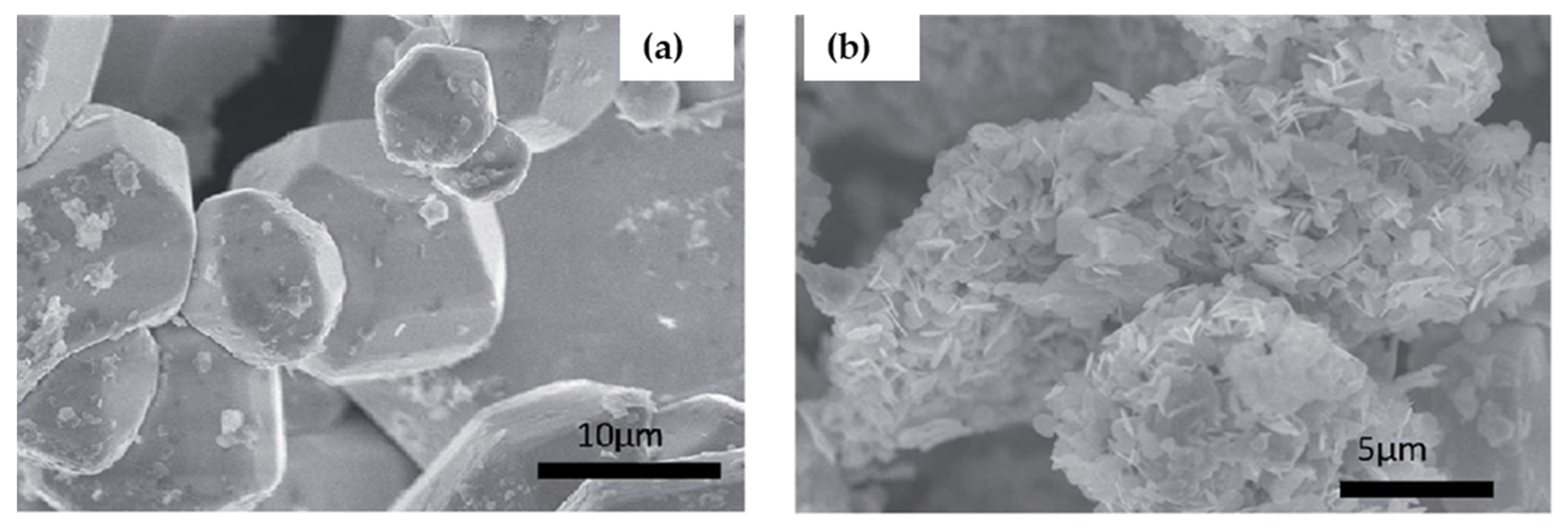 Molecules 26 02010 g008 Molecules 26 02010 g008