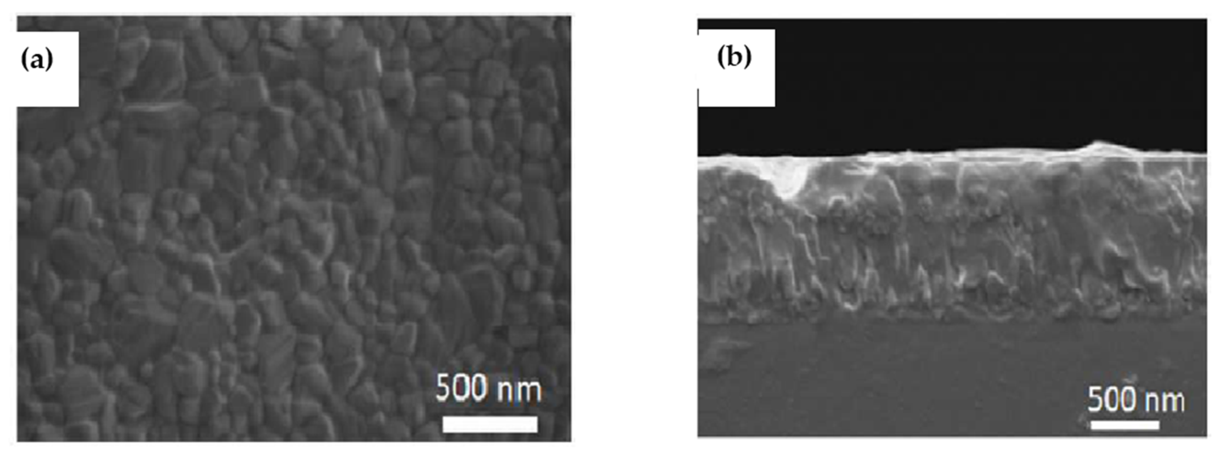 Molecules 26 02010 g012 Molecules 26 02010 g012