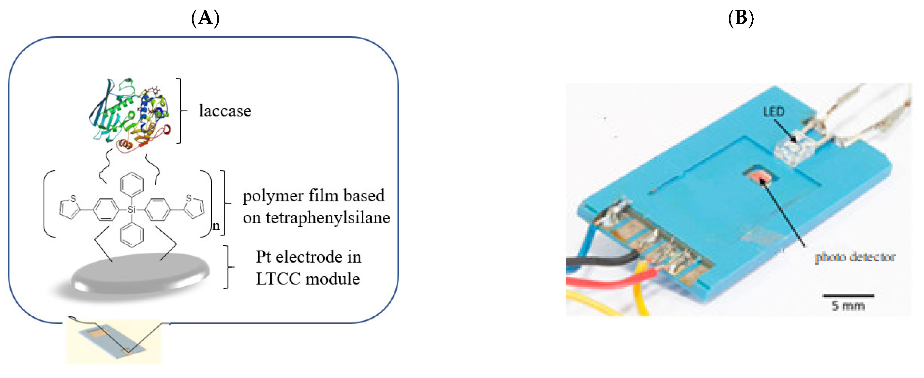 Molecules 26 02012 g002 Molecules 26 02012 g002