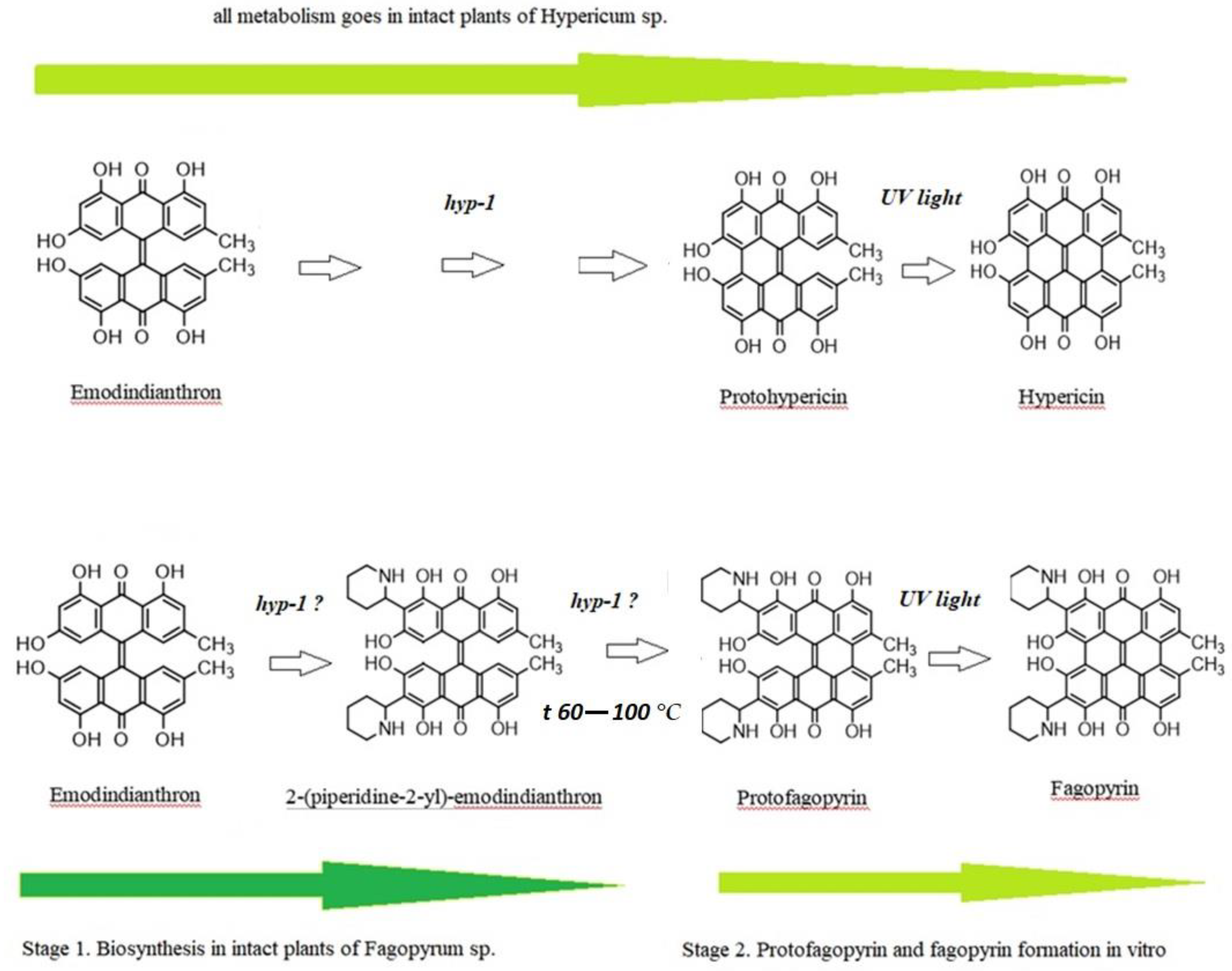 Molecules 26 02013 g004