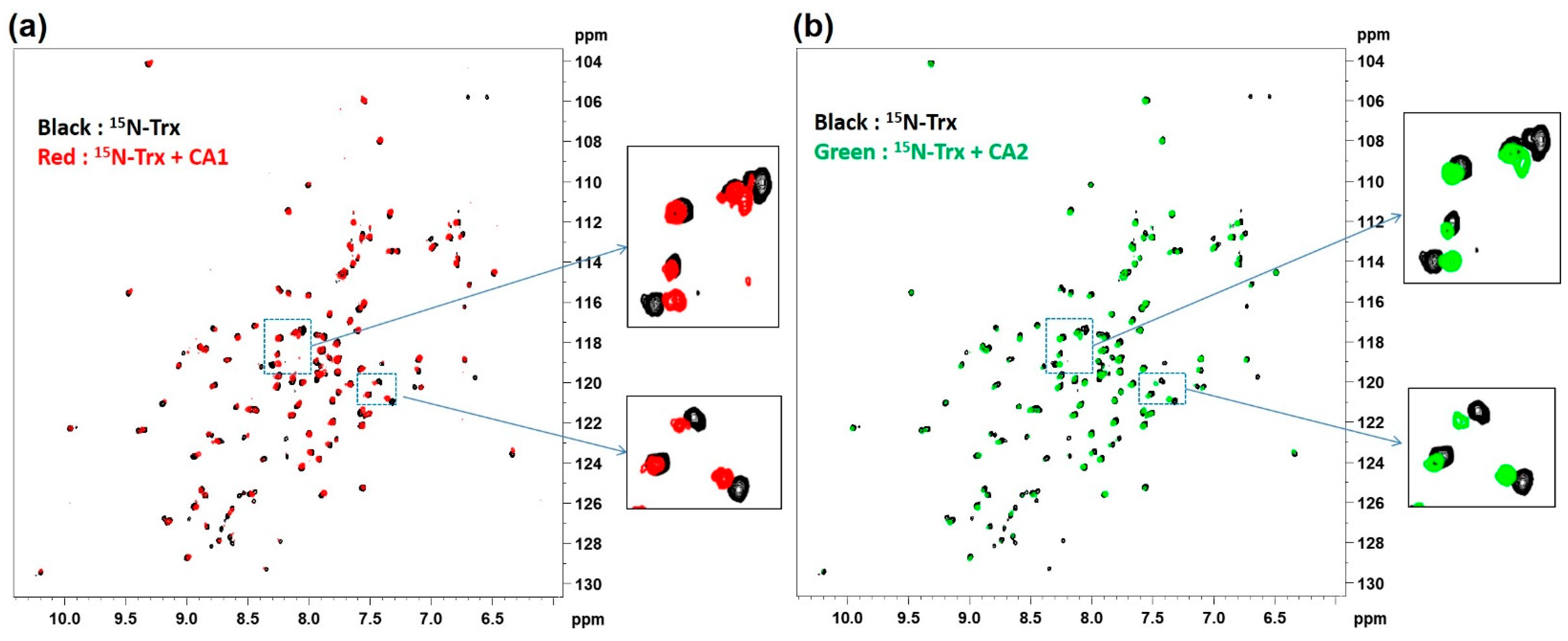 Molecules 26 02018 g003