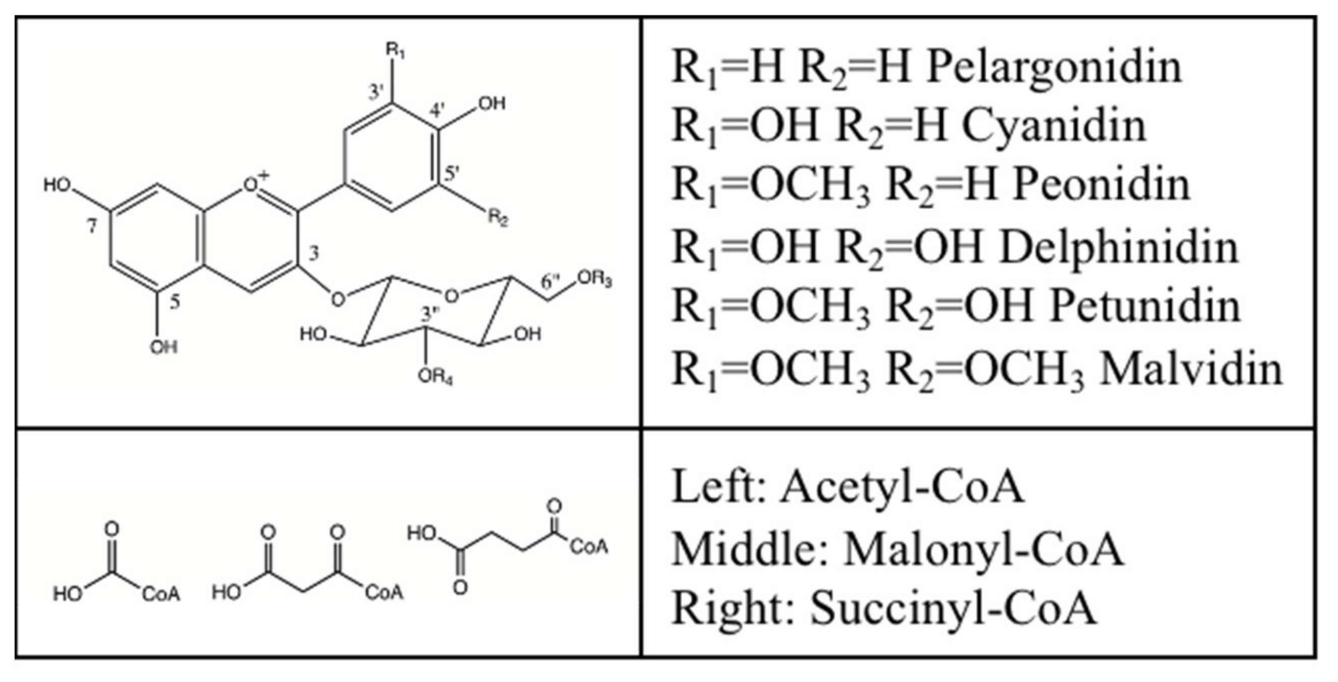 Molecules 26 02020 g001 Molecules 26 02020 g001