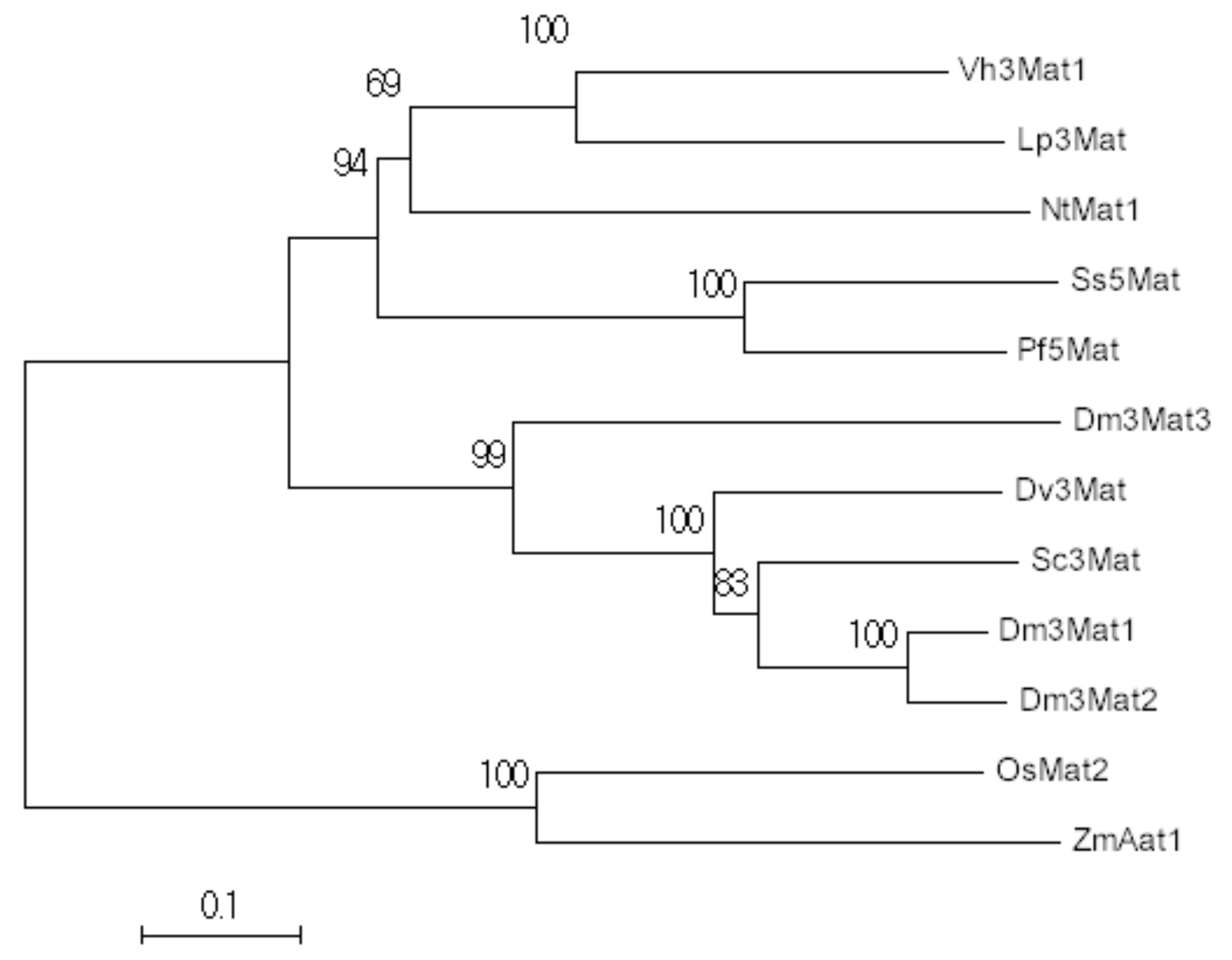 Molecules 26 02020 g002 Molecules 26 02020 g002