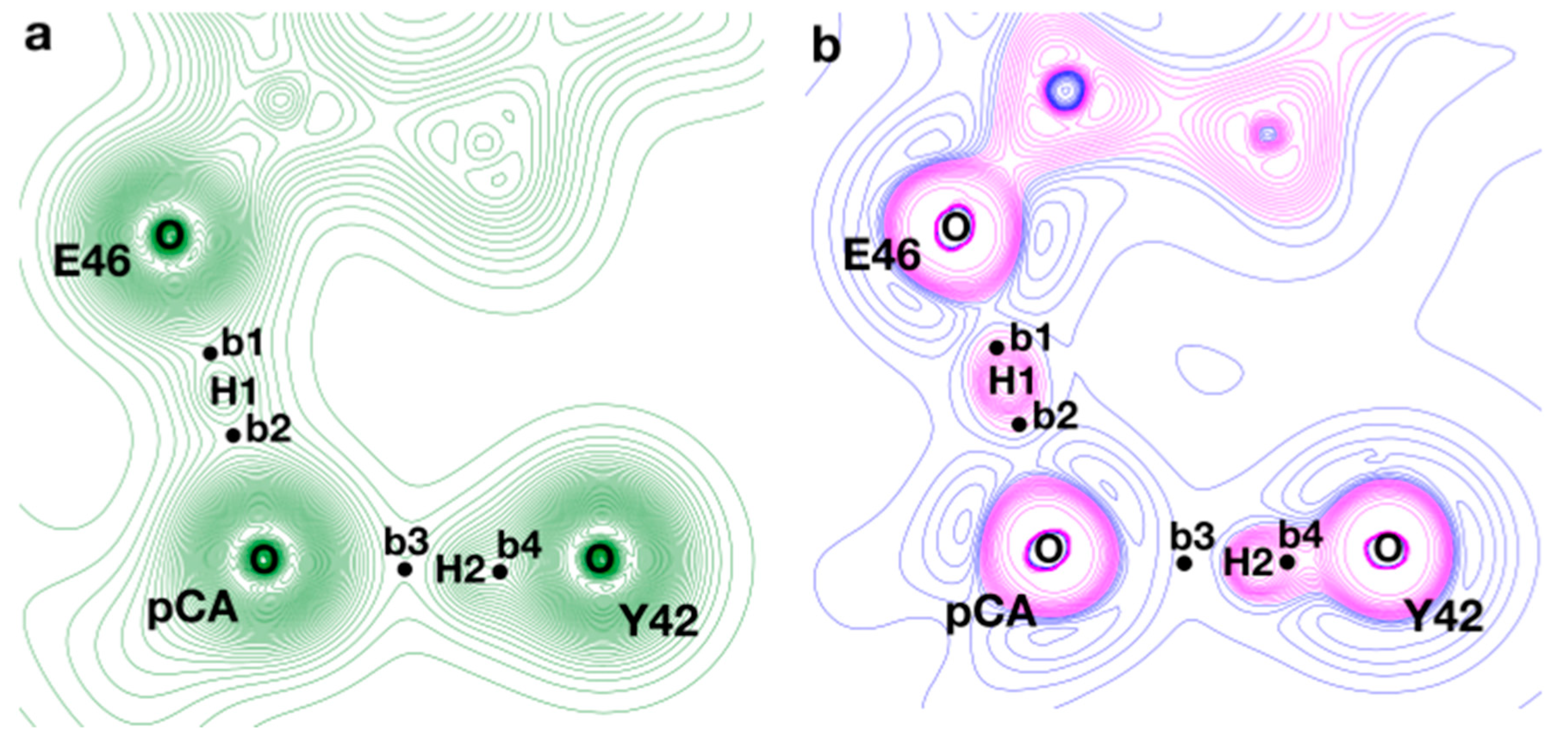Molecules 26 02025 g006 Molecules 26 02025 g006