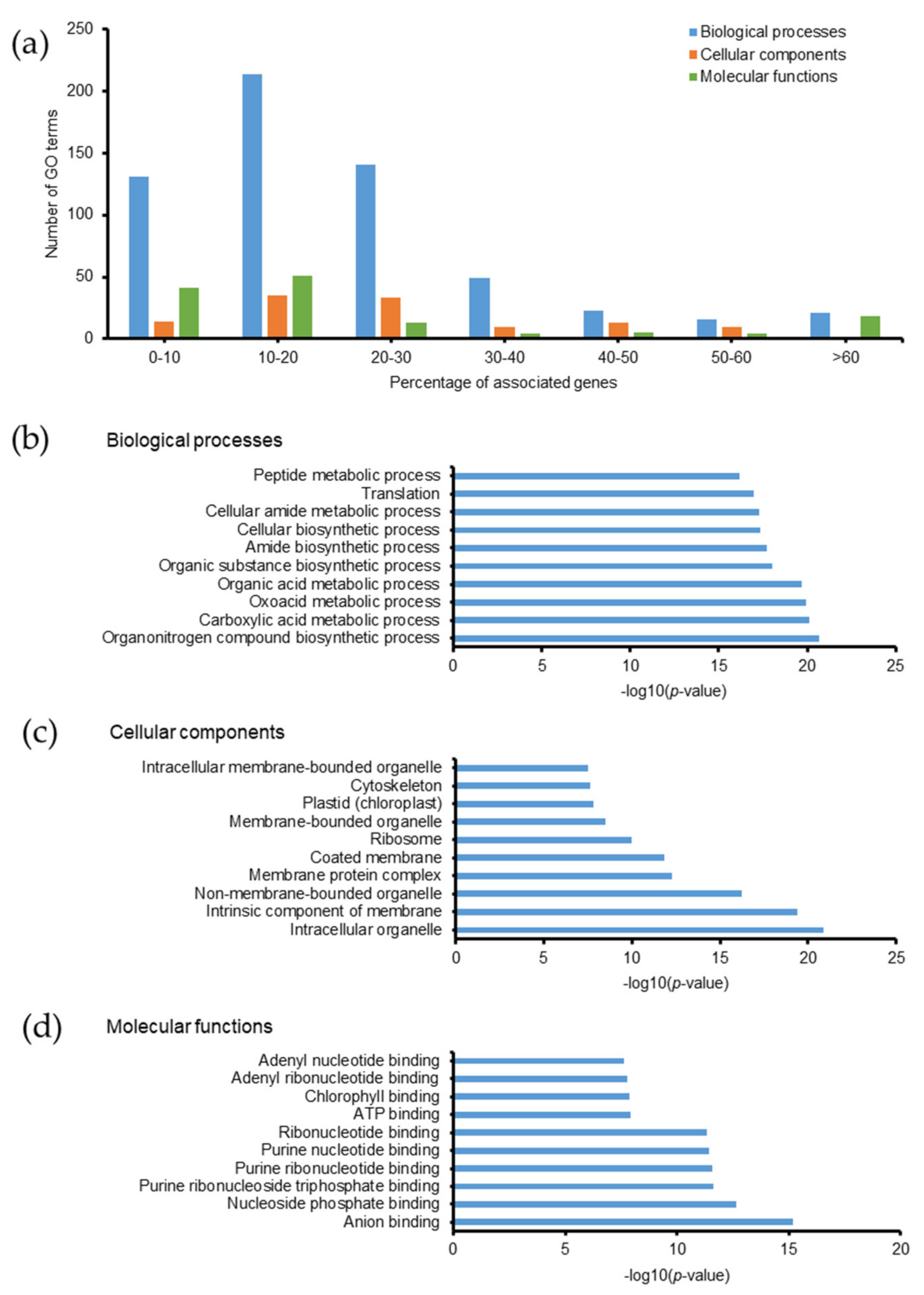 Molecules 26 02027 g005 Molecules 26 02027 g005