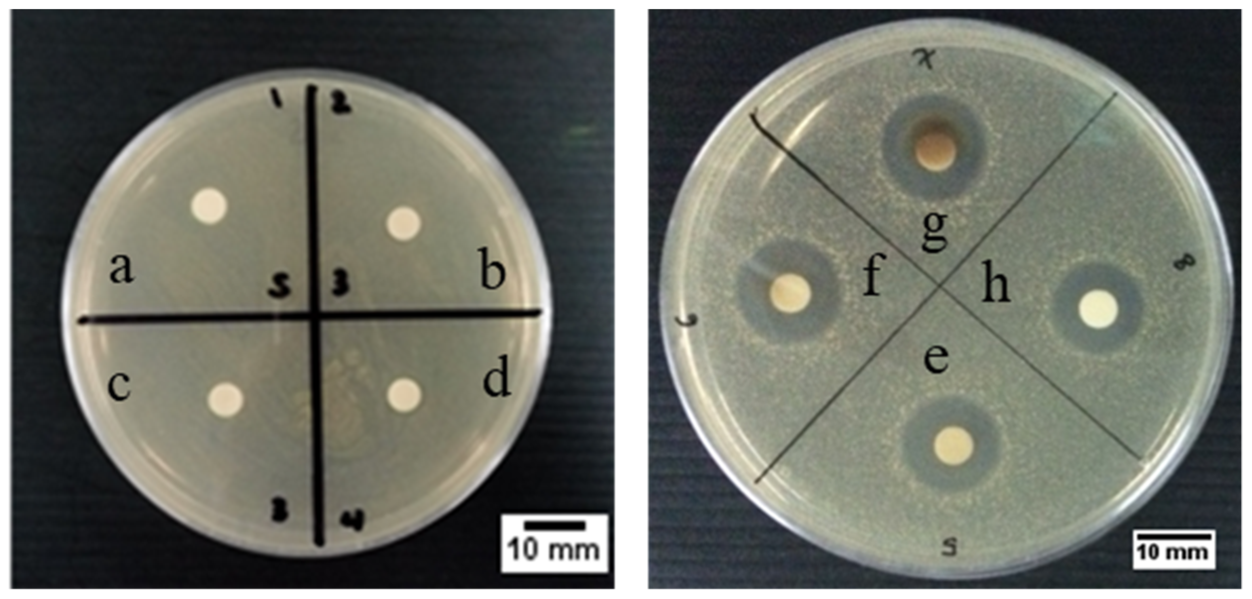 Molecules 26 02042 g008 Molecules 26 02042 g008