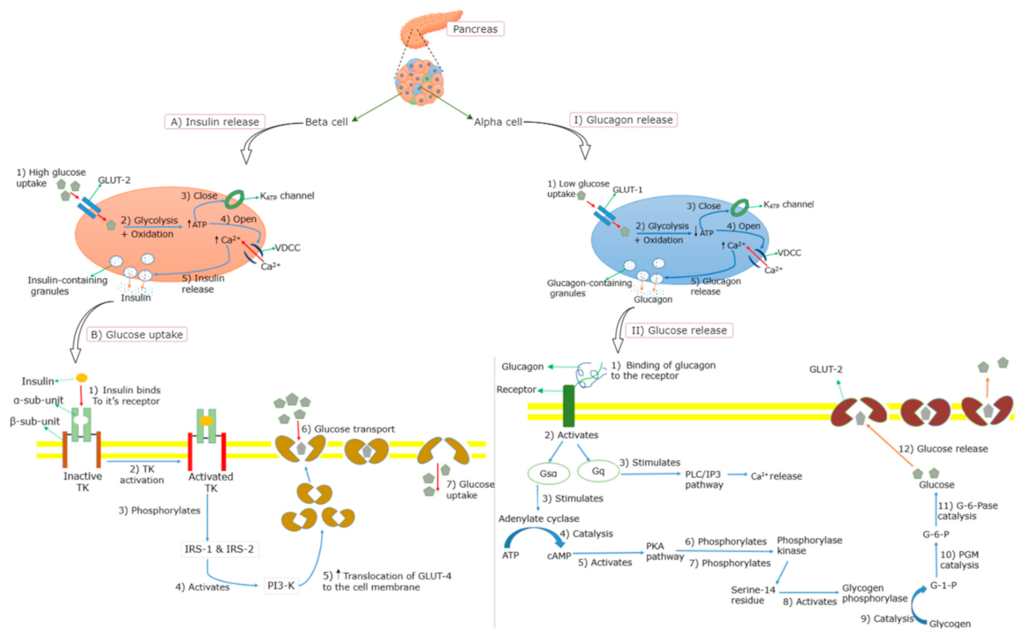 Molecules 26 02044 g002