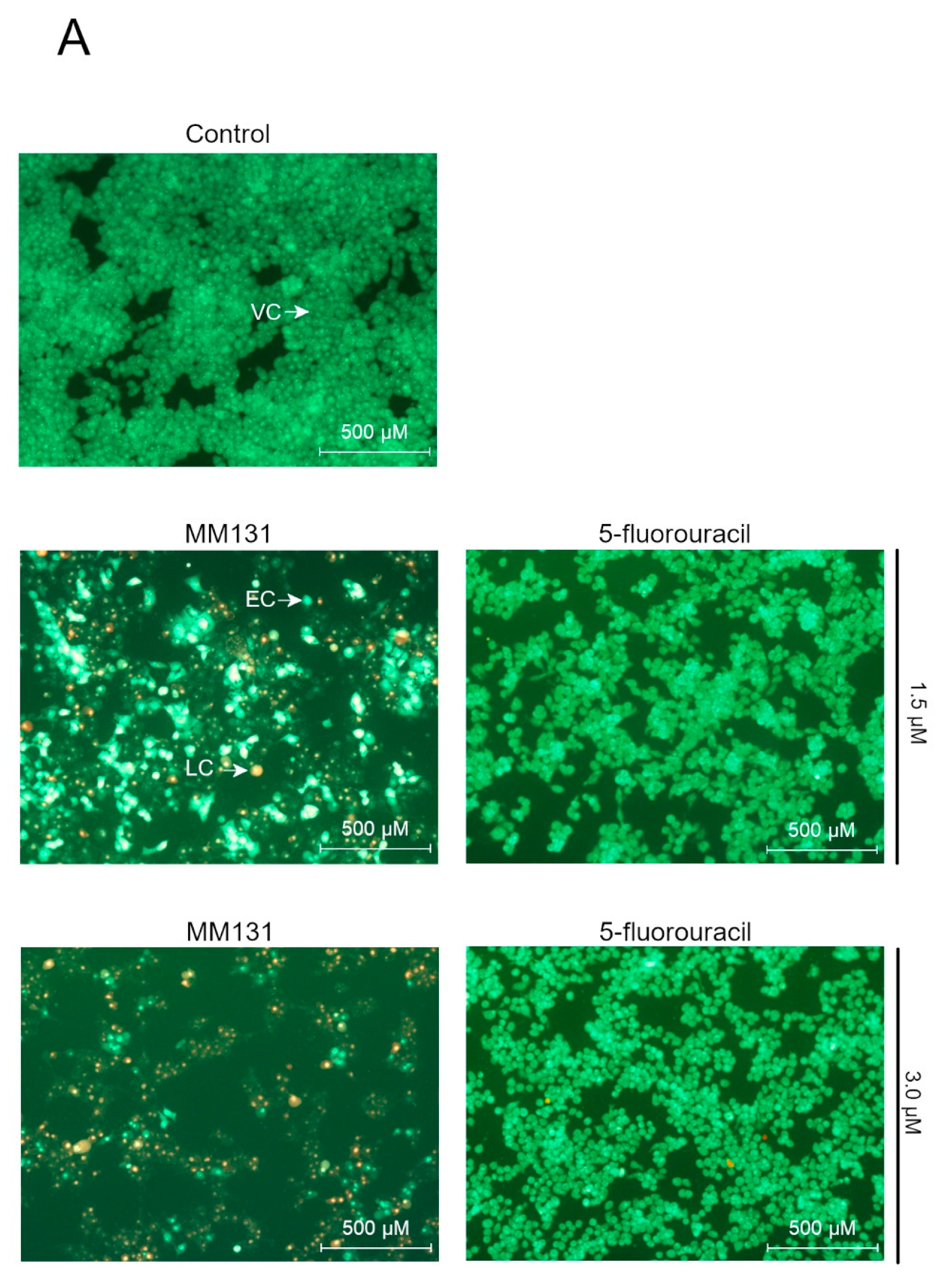 Molecules 26 02045 g004a