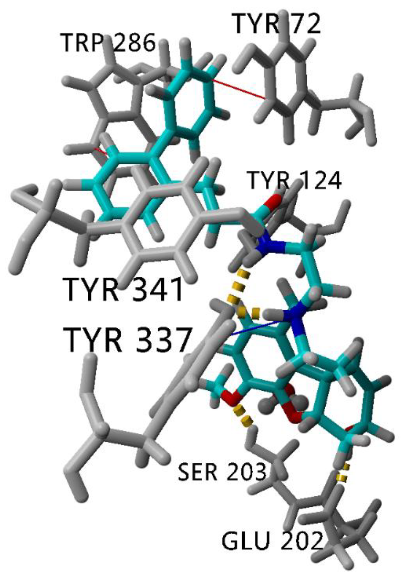 Molecules 26 02058 g006