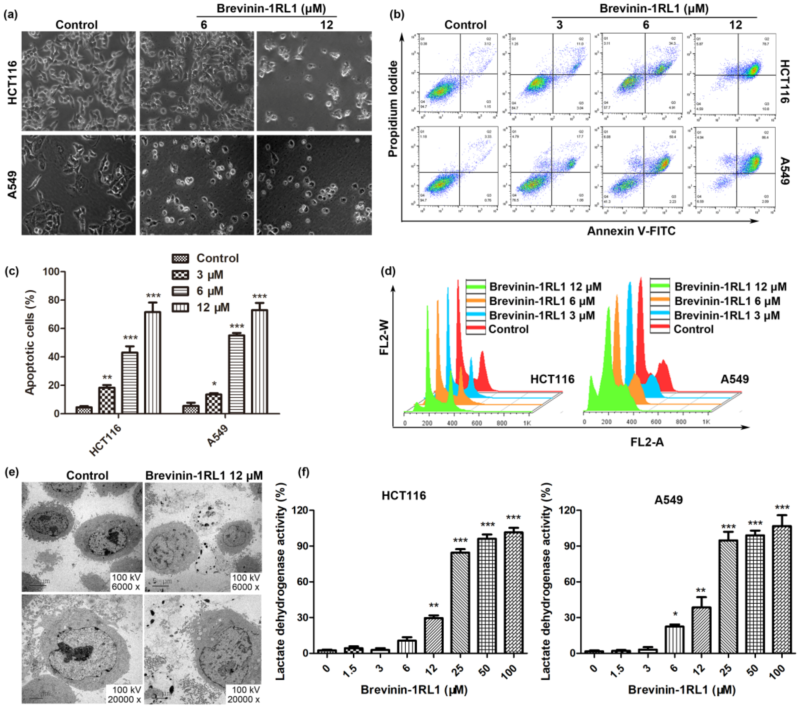 Molecules 26 02059 g003