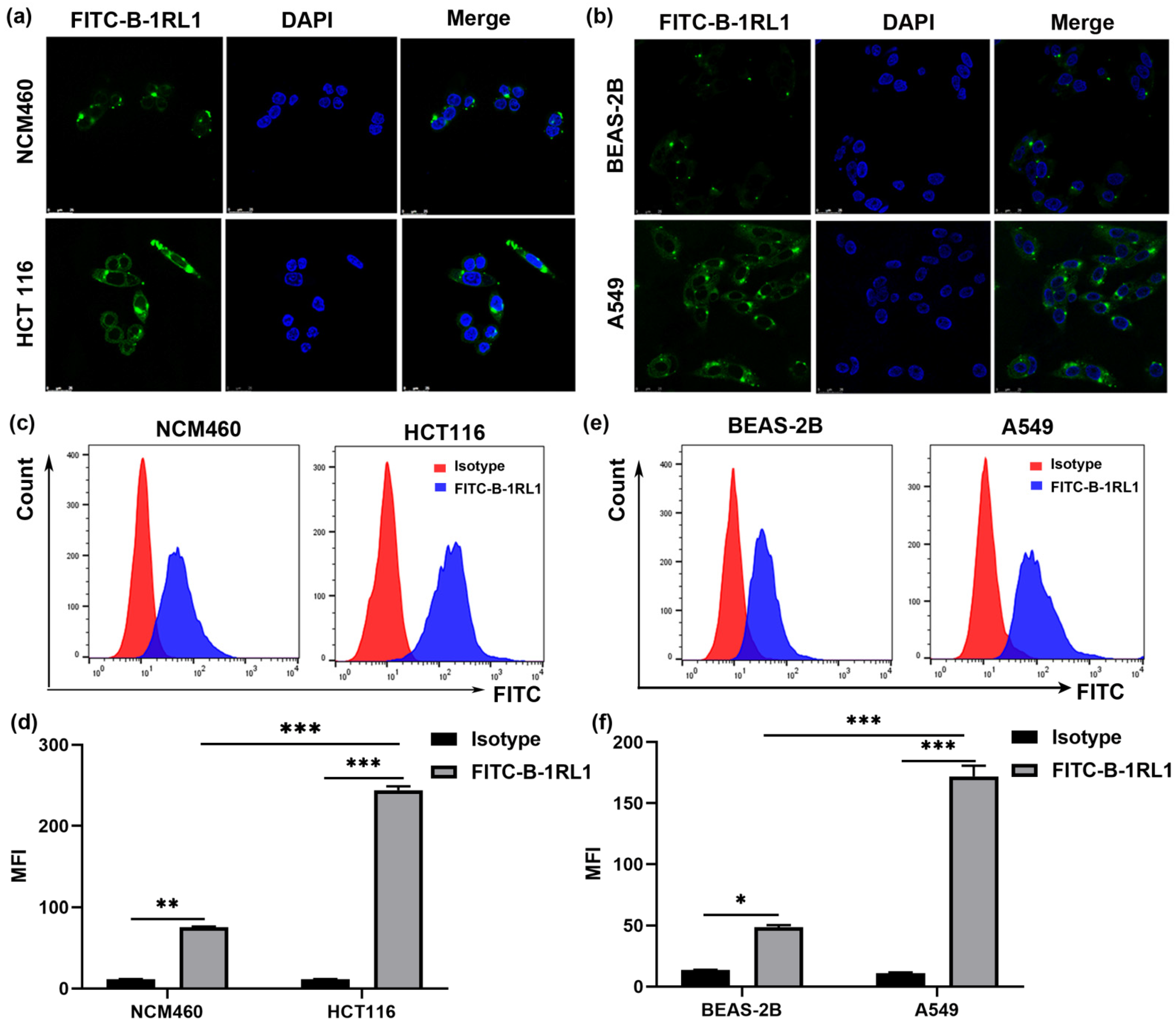 Molecules 26 02059 g005