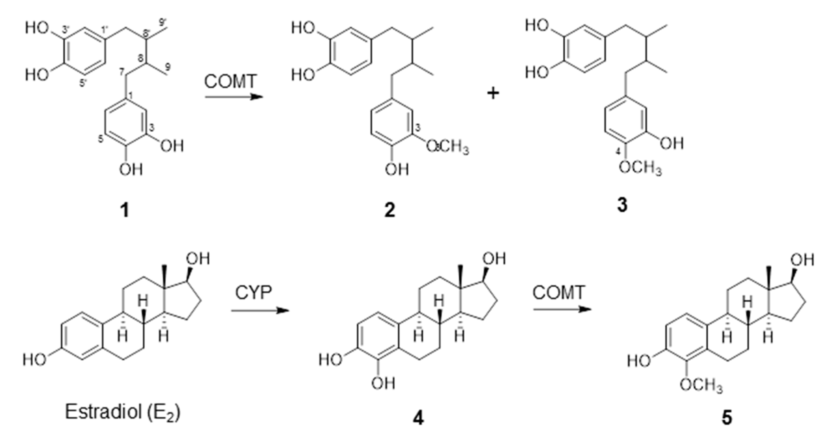 Molecules 26 02060 g001 Molecules 26 02060 g001