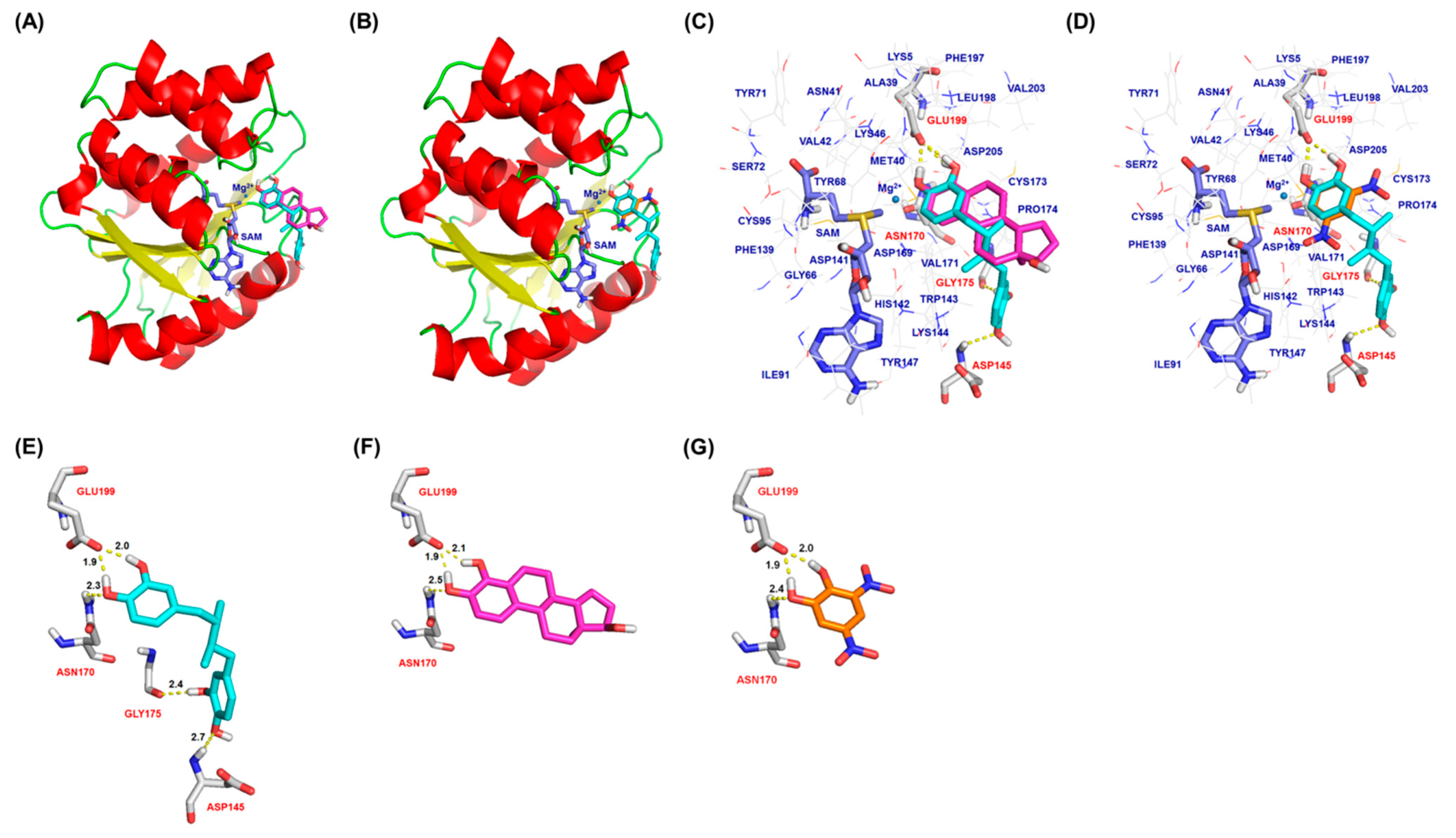 Molecules 26 02060 g003 Molecules 26 02060 g003