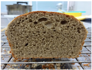 Molecules 26 02070 i009 Molecules 26 02070 i009