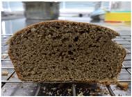 Molecules 26 02070 i011 Molecules 26 02070 i011