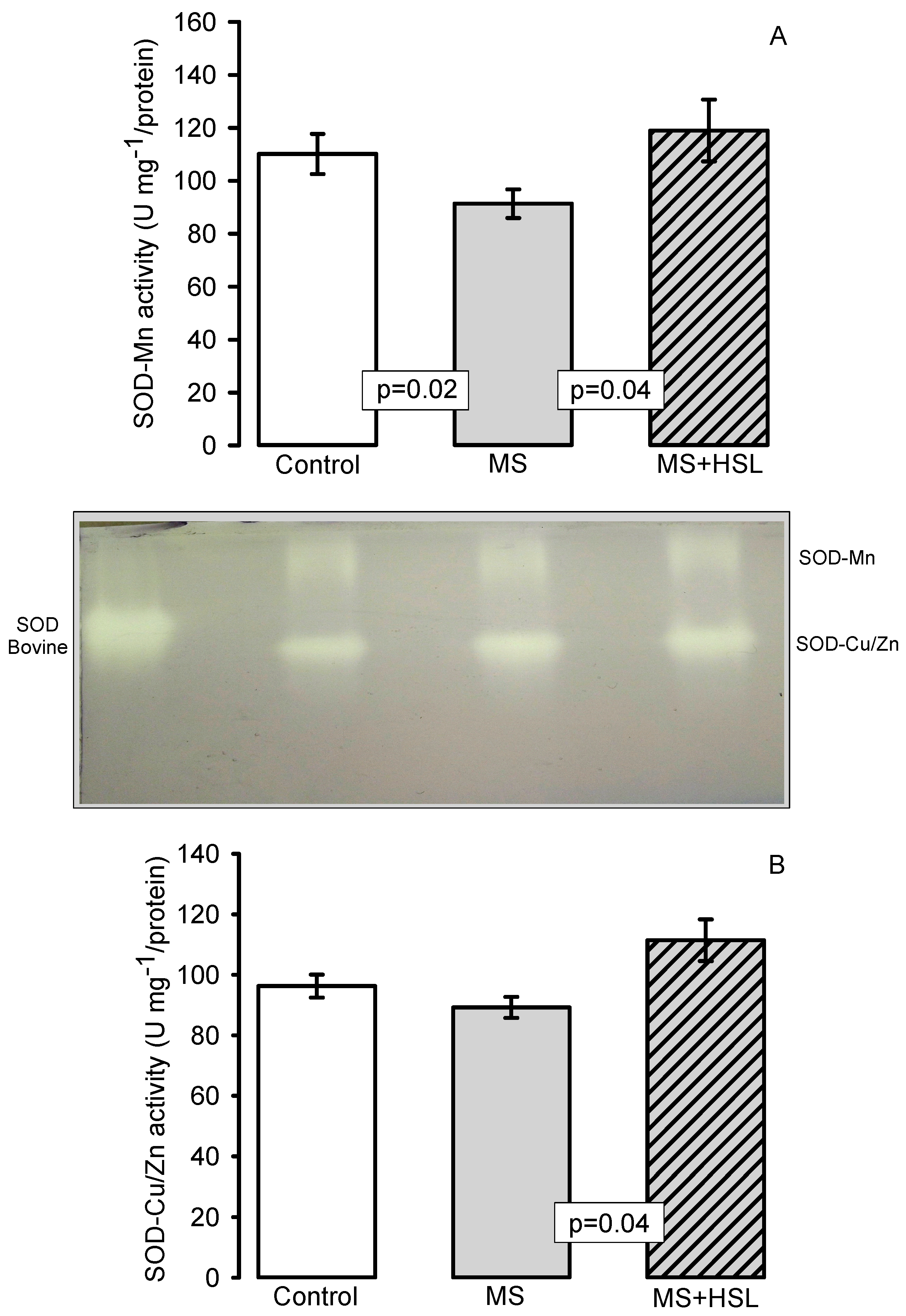Molecules 26 02074 g003 Molecules 26 02074 g003