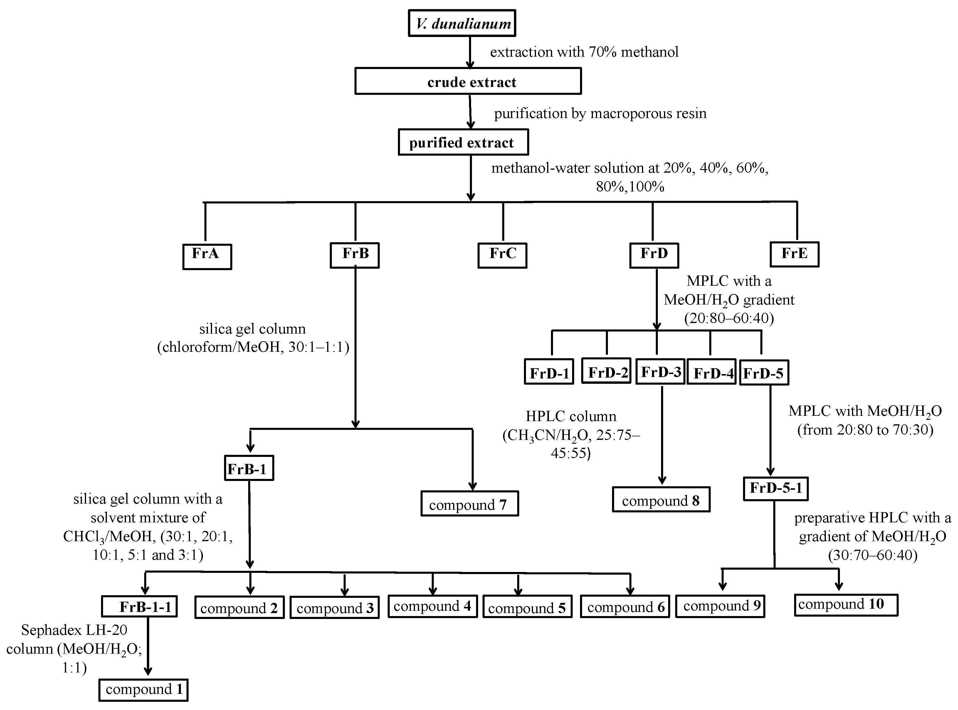 Molecules 26 02075 g004