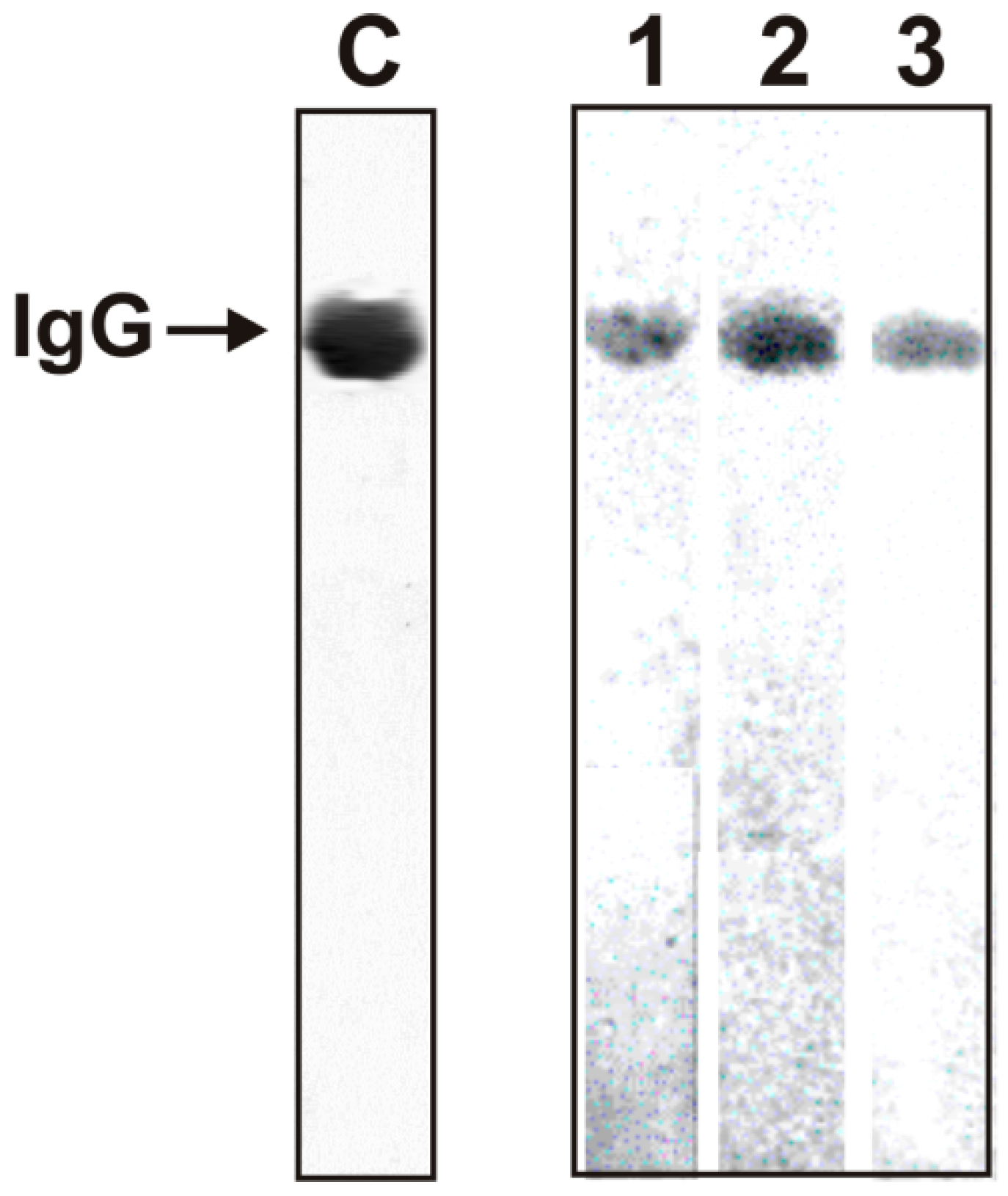 Molecules 26 02077 g001 Molecules 26 02077 g001
