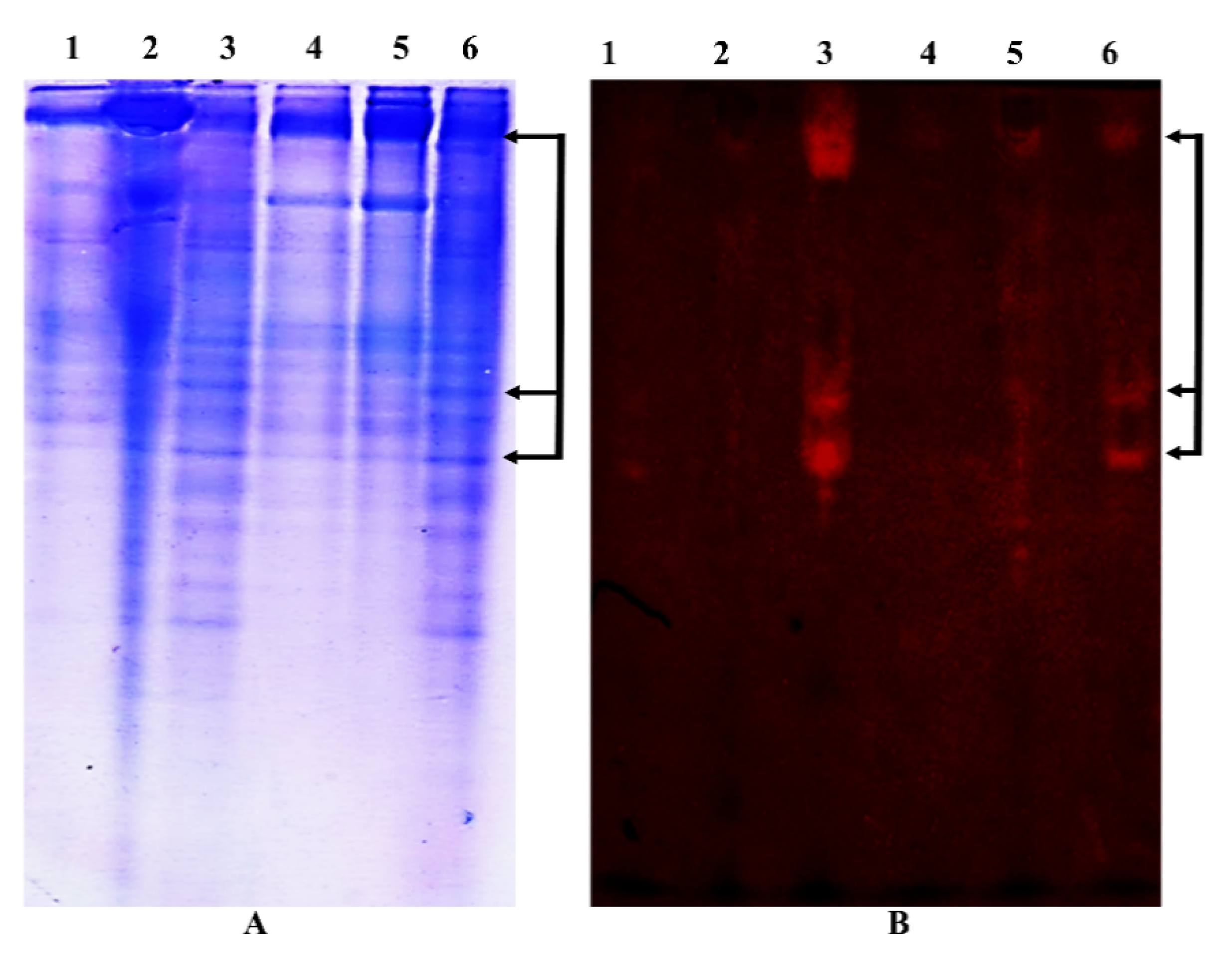 Molecules 26 02078 g001