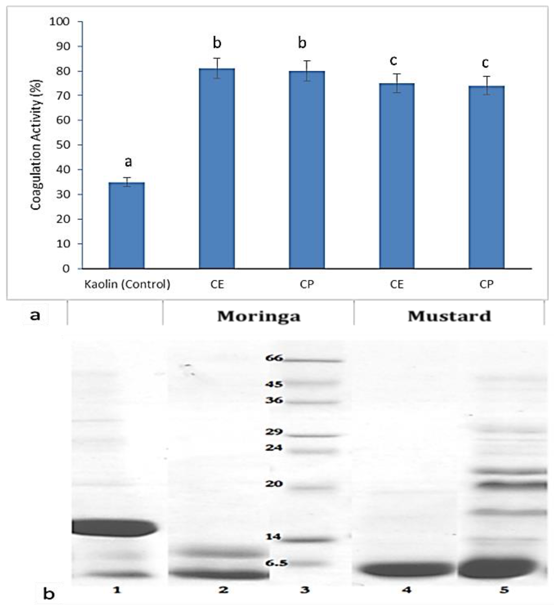 Molecules 26 02080 g001 Molecules 26 02080 g001