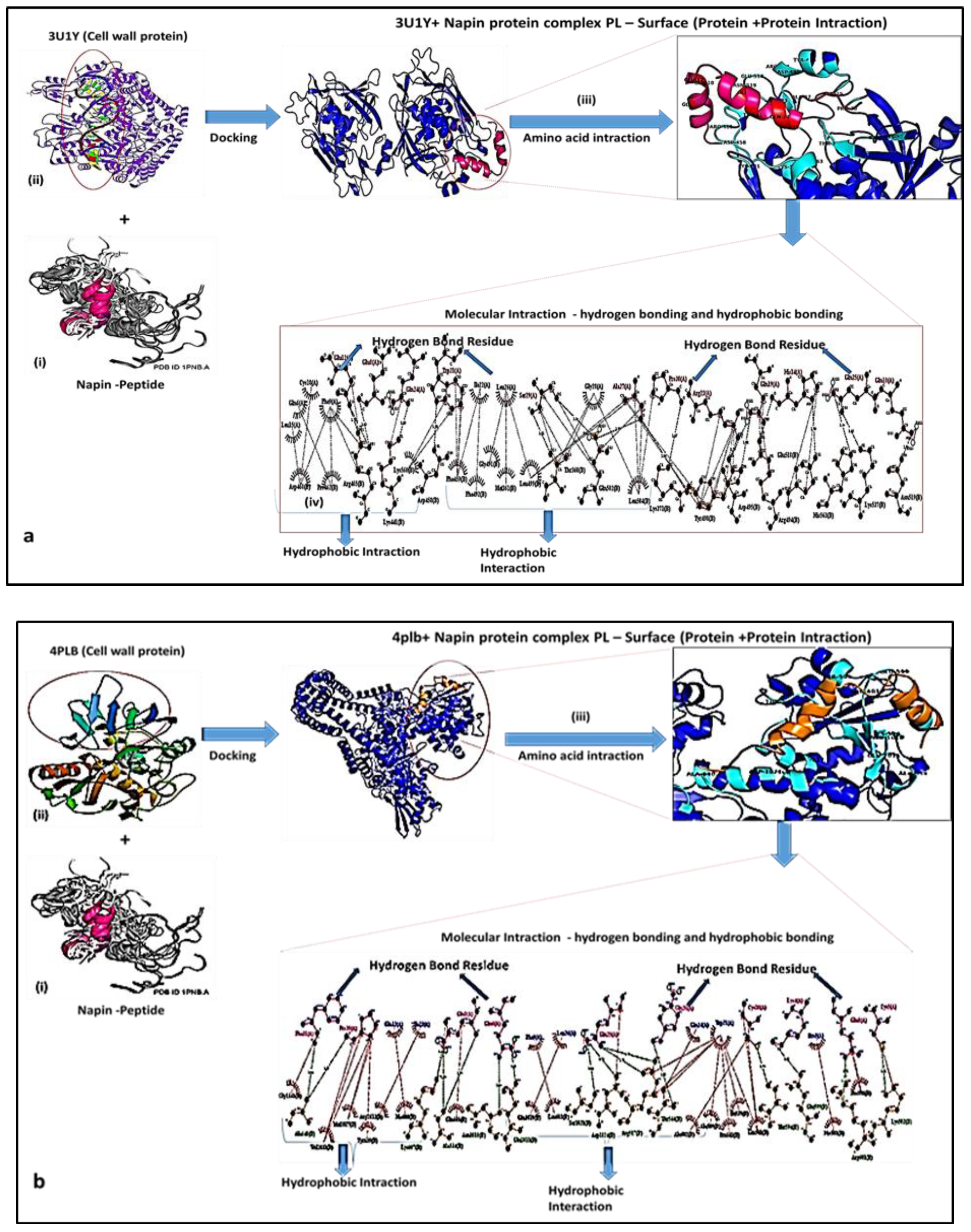 Molecules 26 02080 g005 Molecules 26 02080 g005