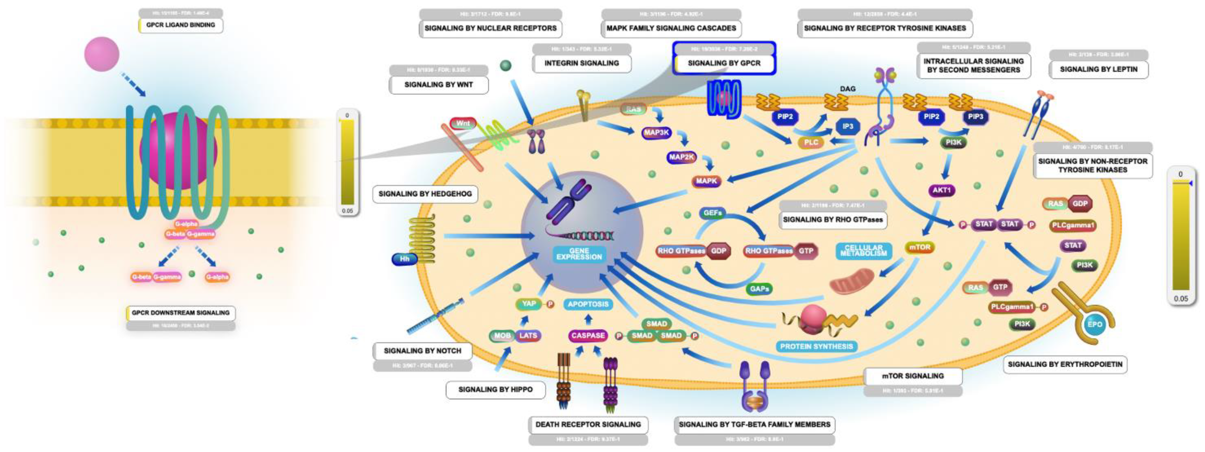 Molecules 26 02082 g010 Molecules 26 02082 g010