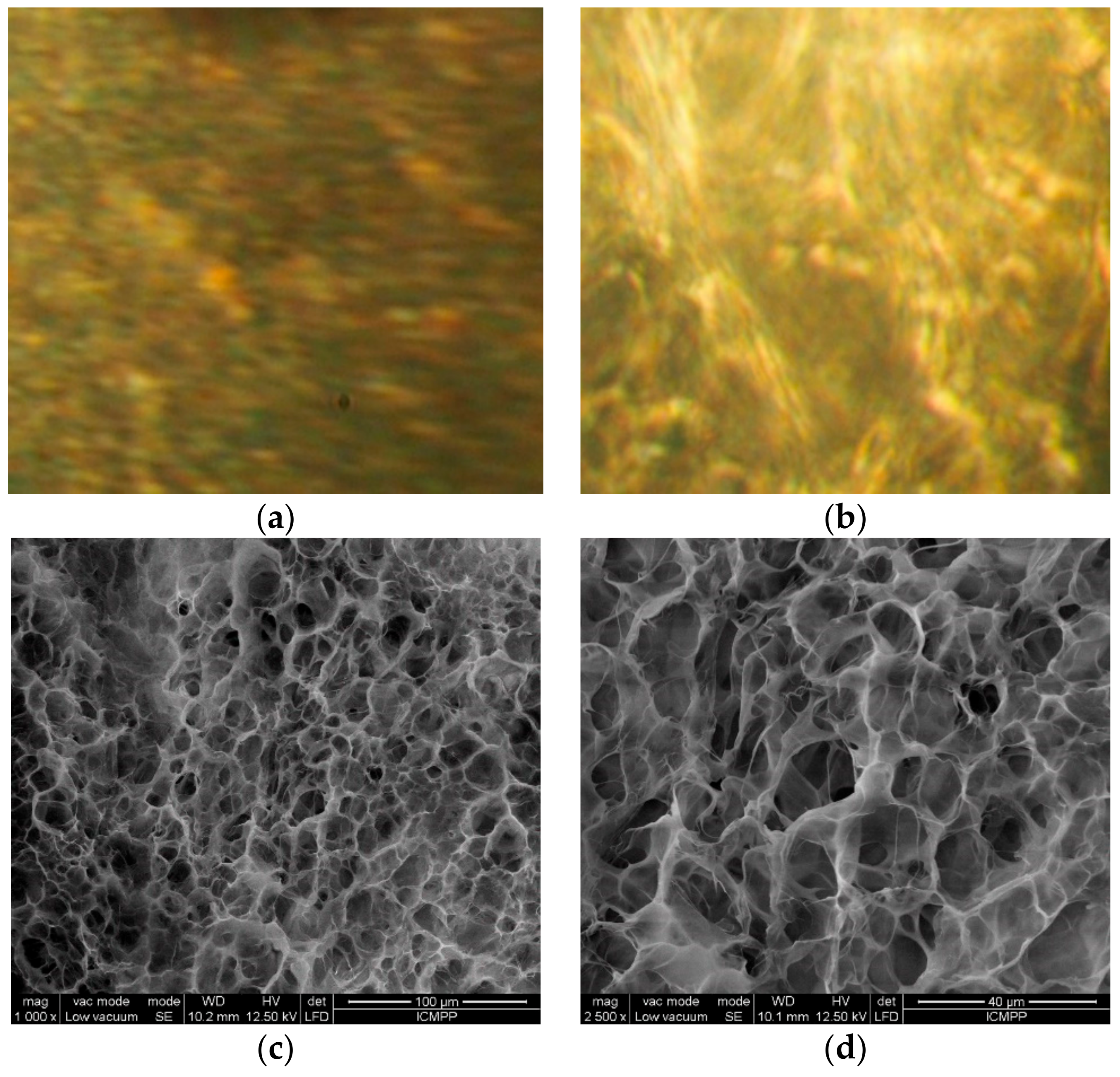 Molecules 26 02089 g001 Molecules 26 02089 g001