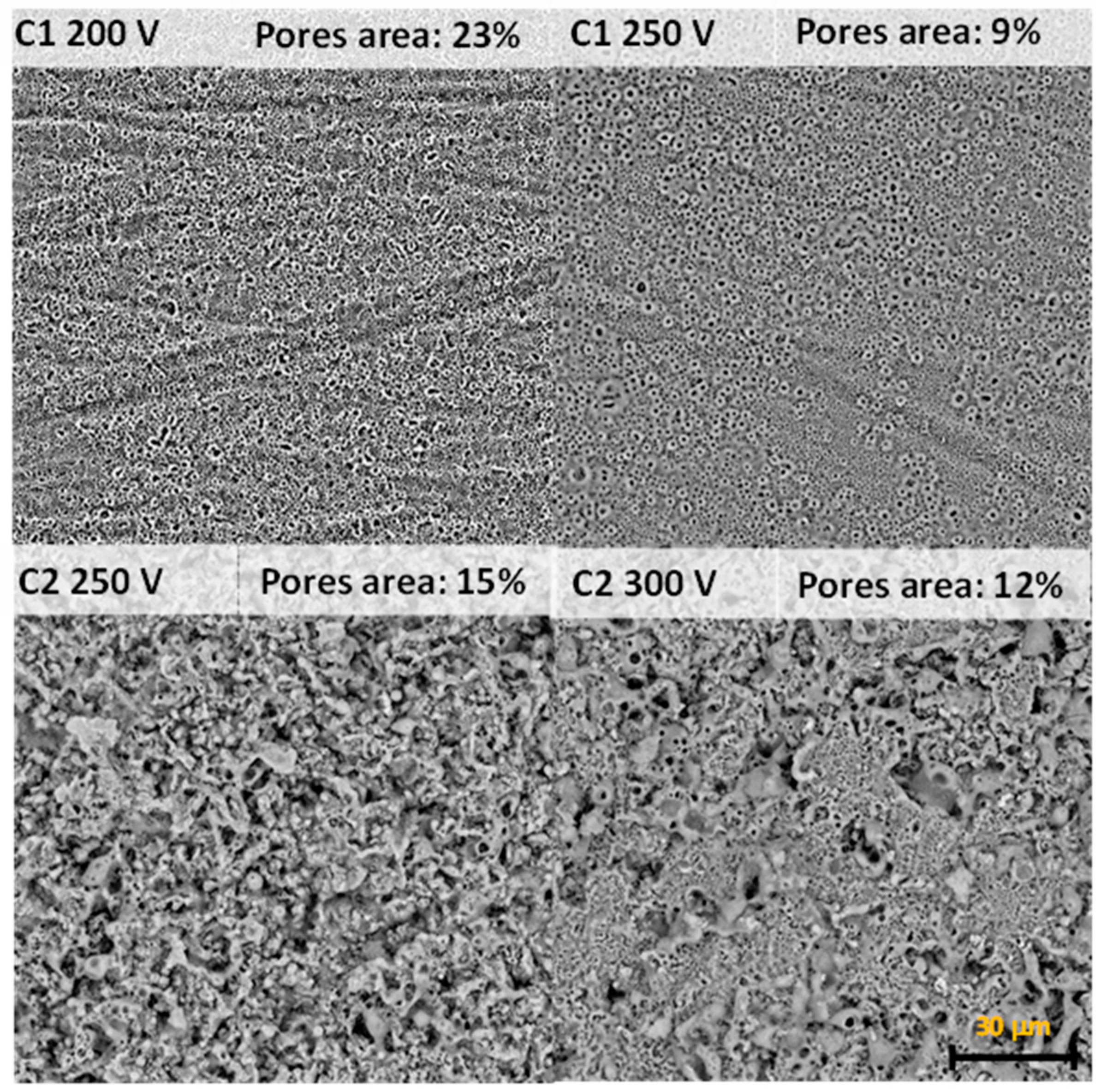 Molecules 26 02094 g001
