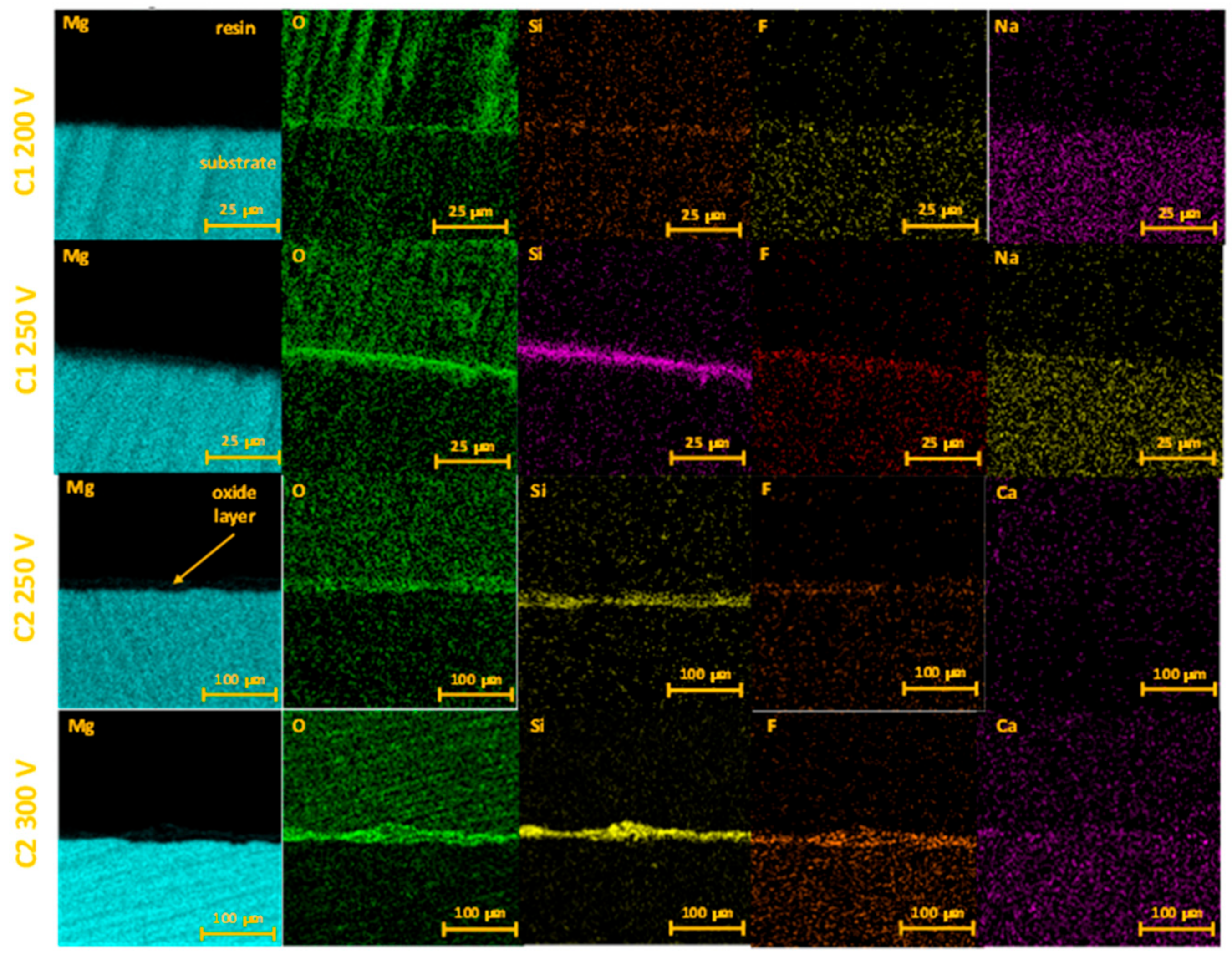 Molecules 26 02094 g004