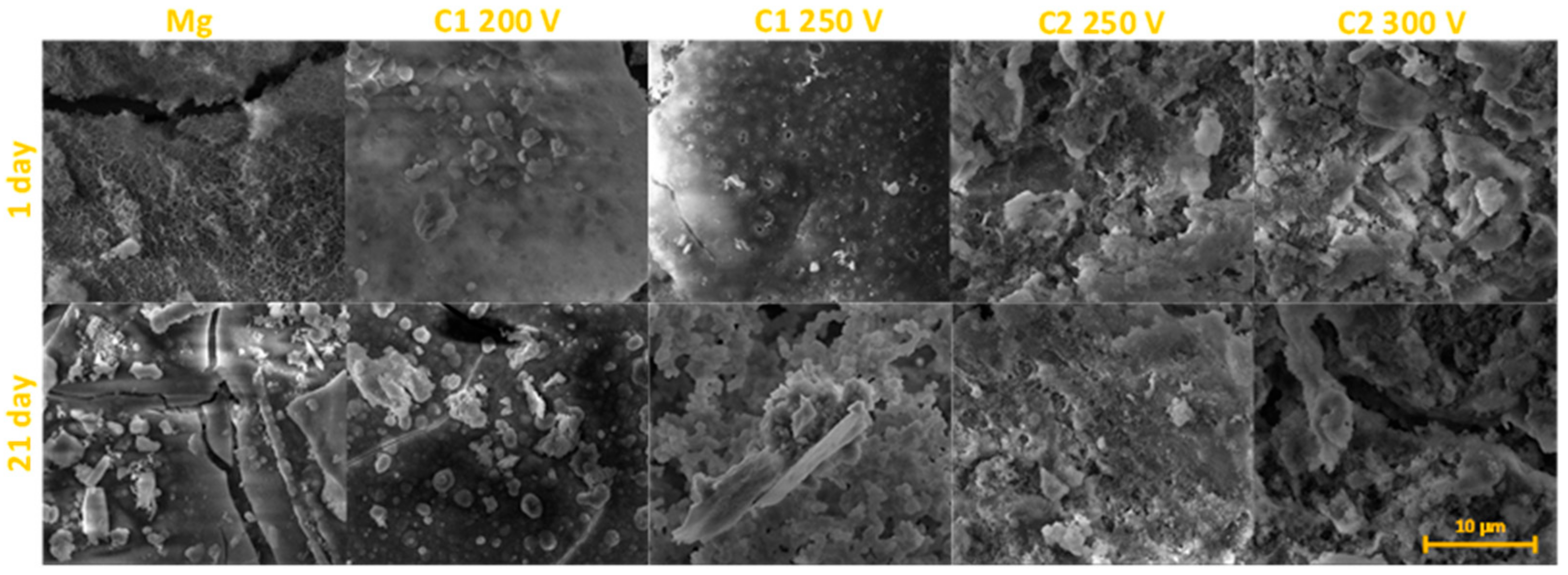 Molecules 26 02094 g008
