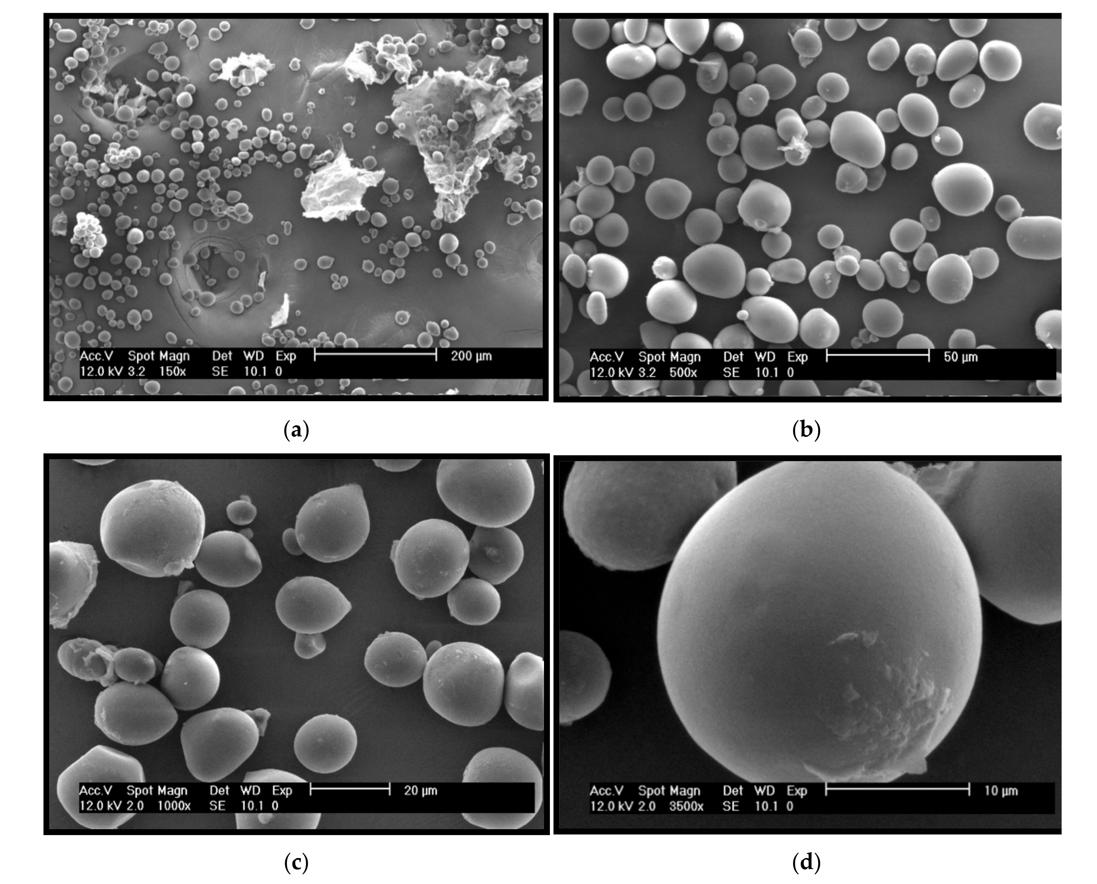 Molecules 26 02097 g006 Molecules 26 02097 g006