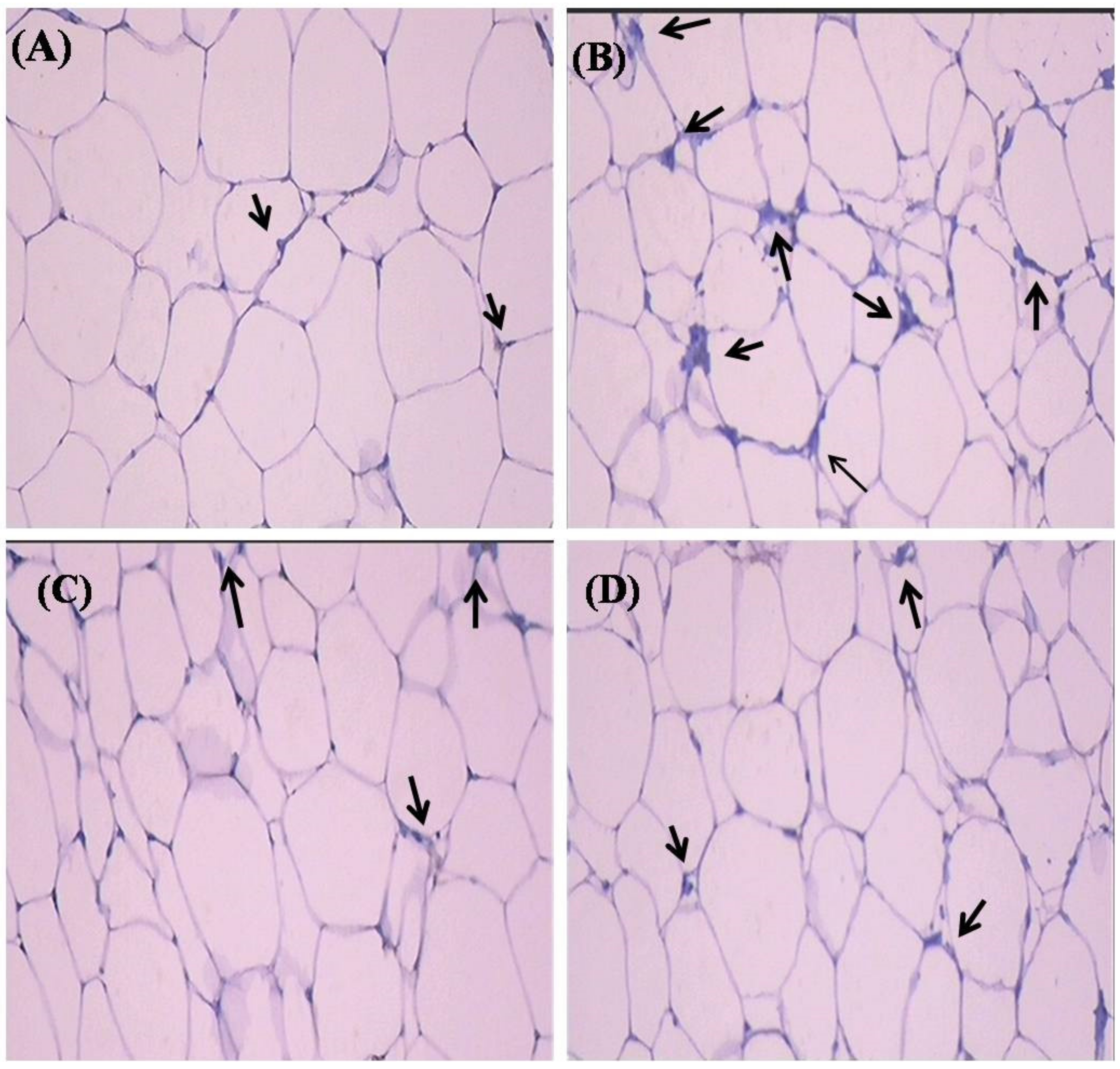 Molecules 26 02101 g006