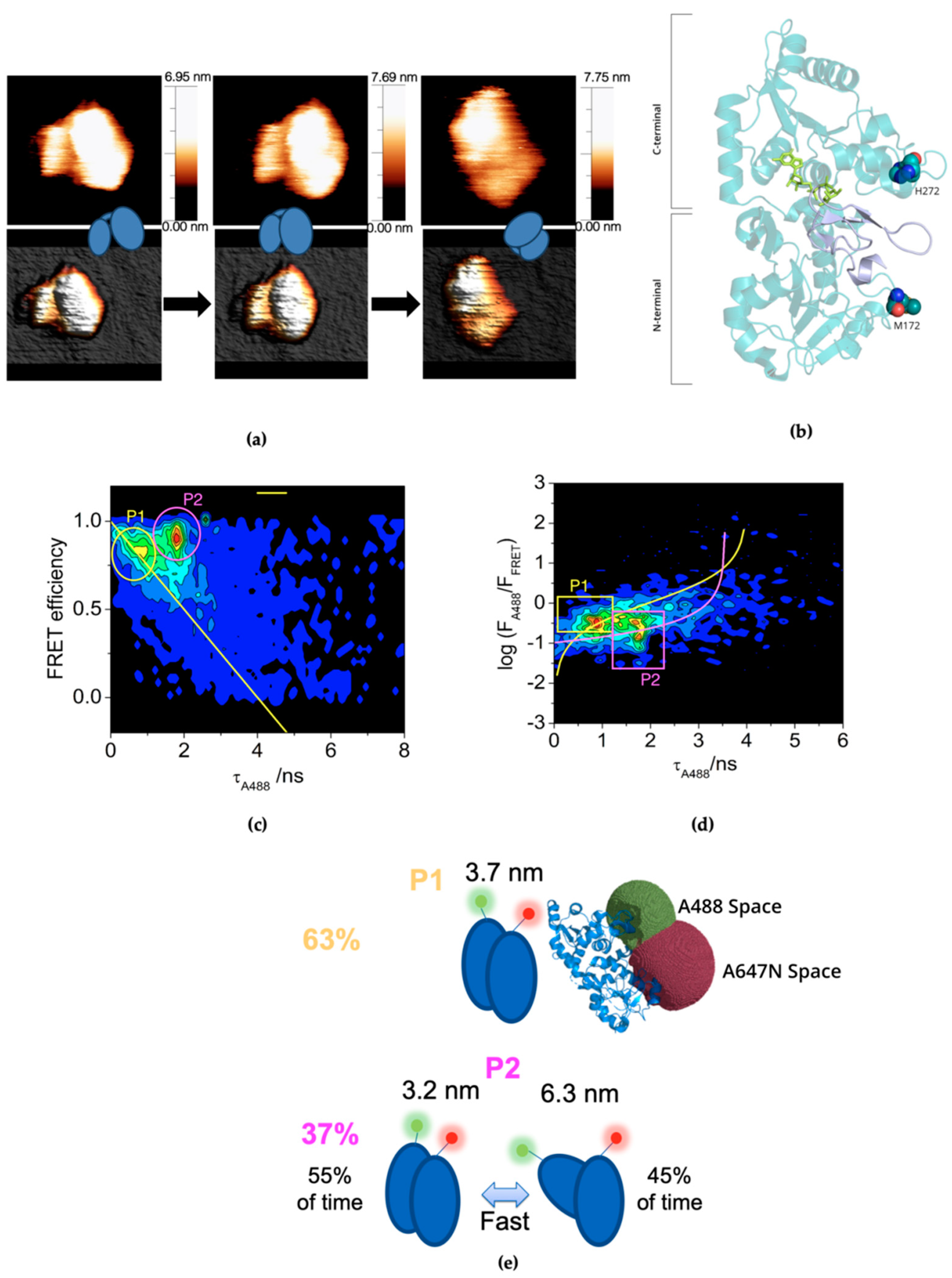 Molecules 26 02105 g001 Molecules 26 02105 g001