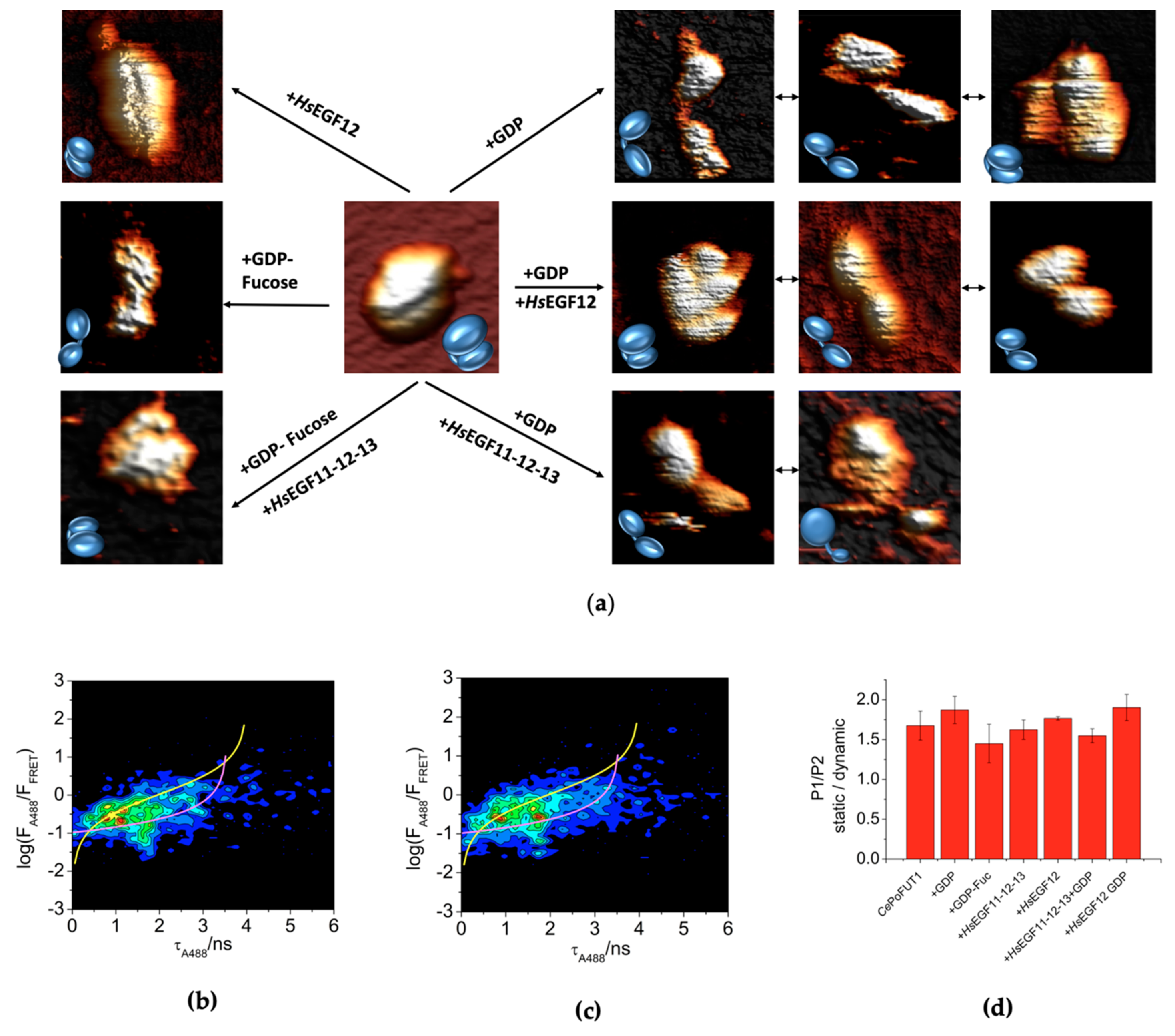 Molecules 26 02105 g002 Molecules 26 02105 g002
