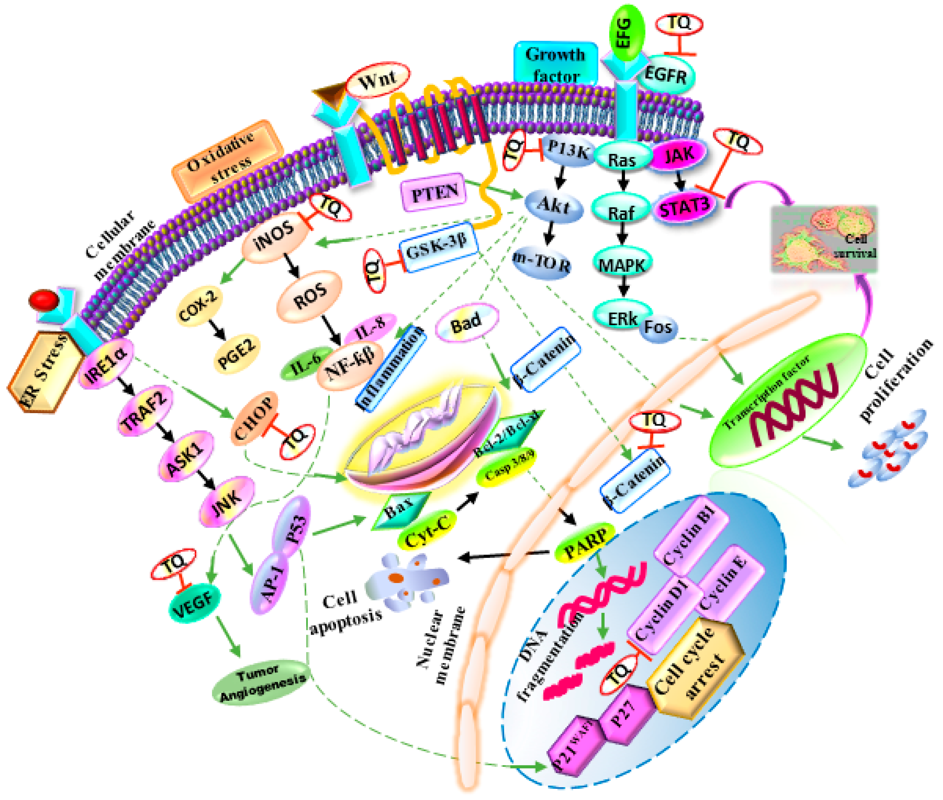 Molecules 26 02108 g003 Molecules 26 02108 g003