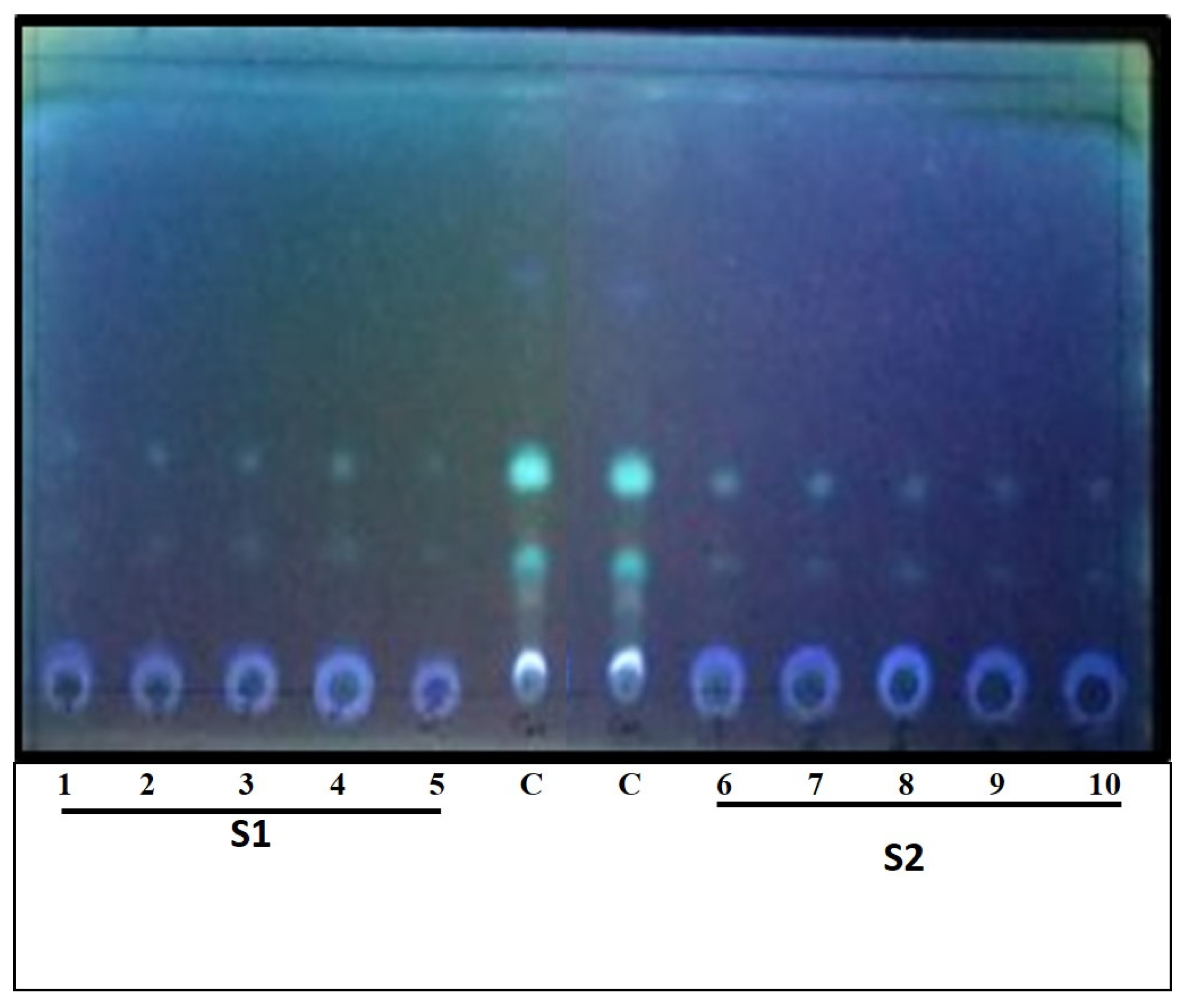 Molecules 26 02113 g004 Molecules 26 02113 g004