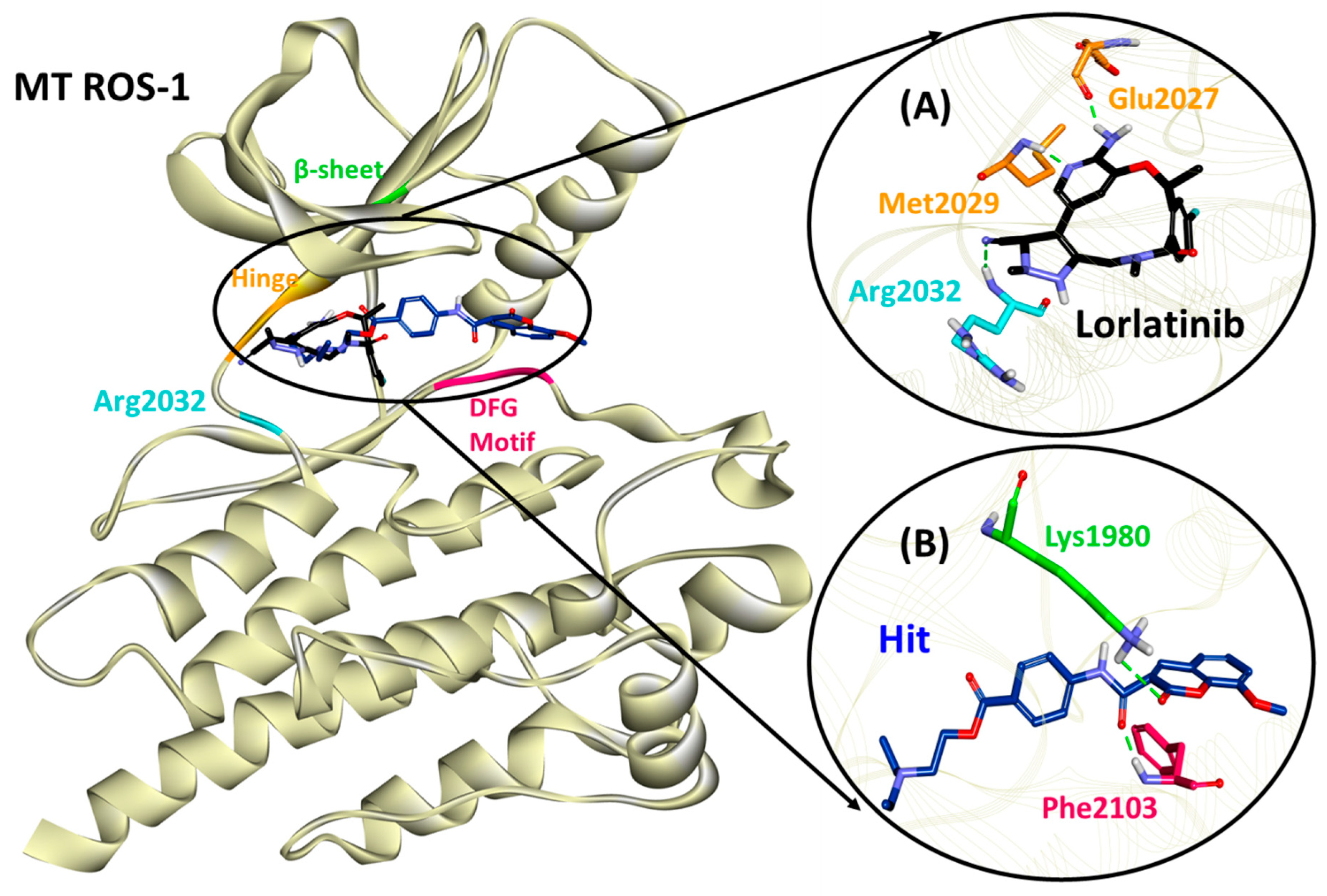 Molecules 26 02114 g006 Molecules 26 02114 g006