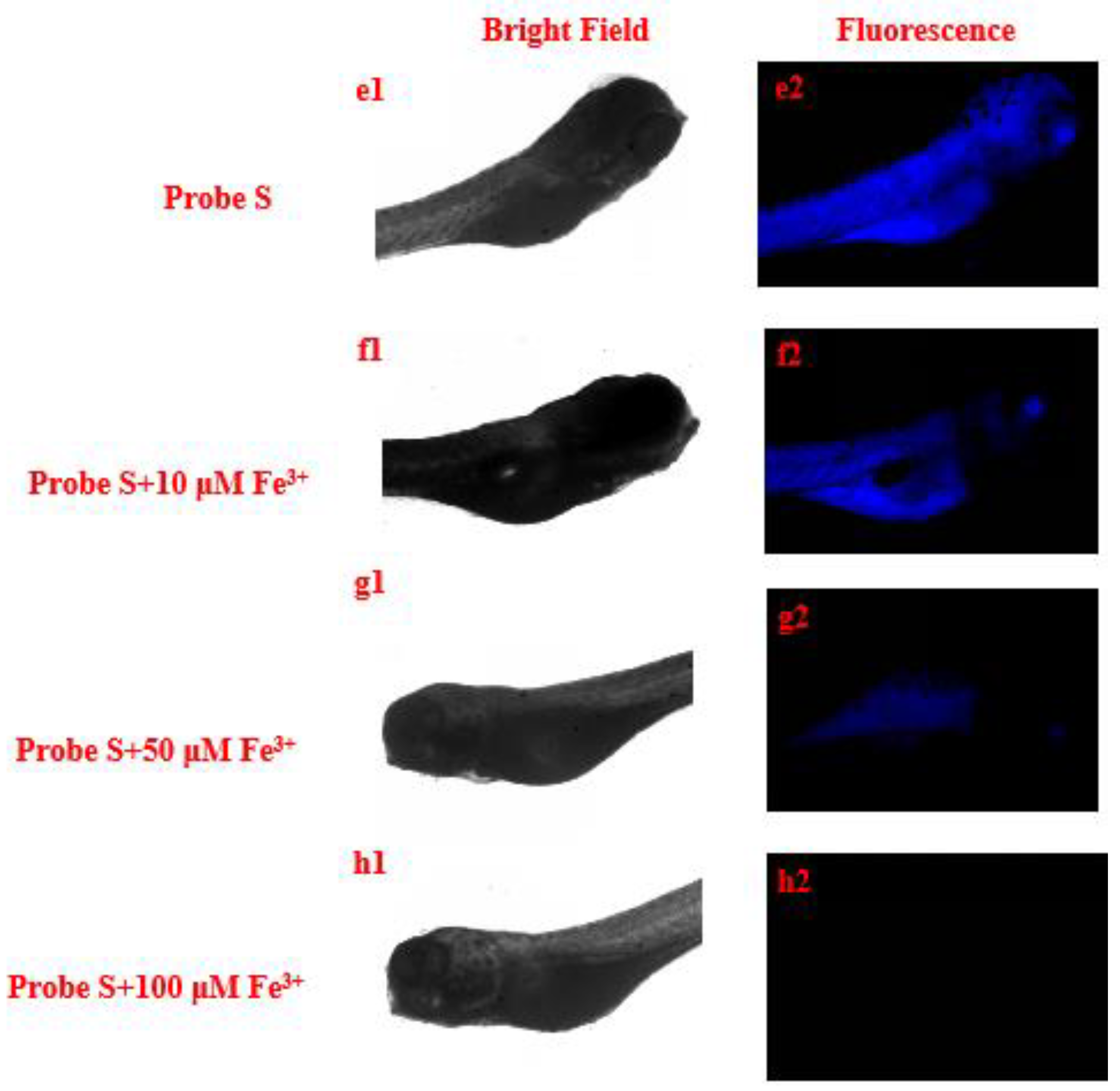 Molecules 26 02115 g011