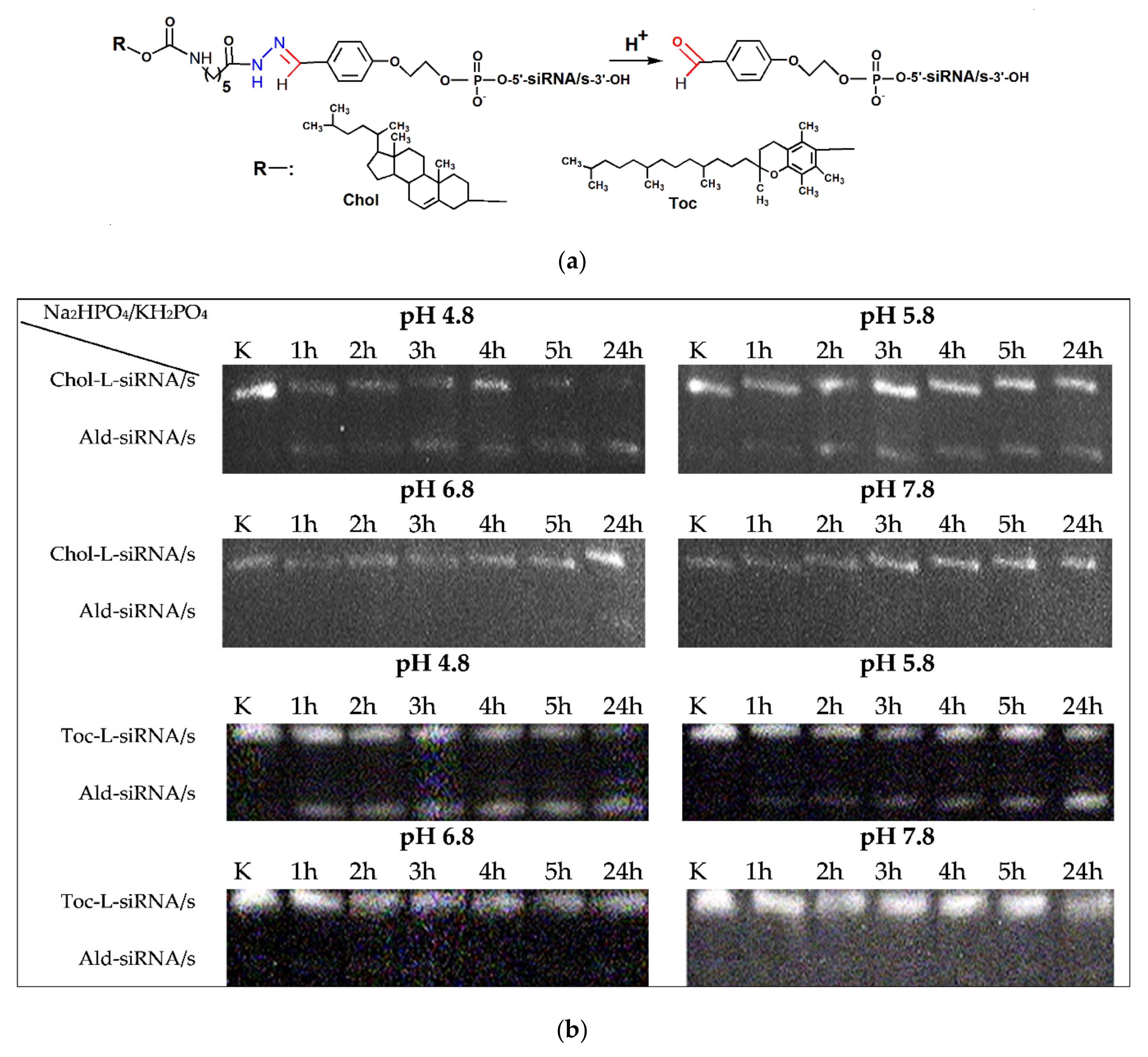 Molecules 26 02119 g004